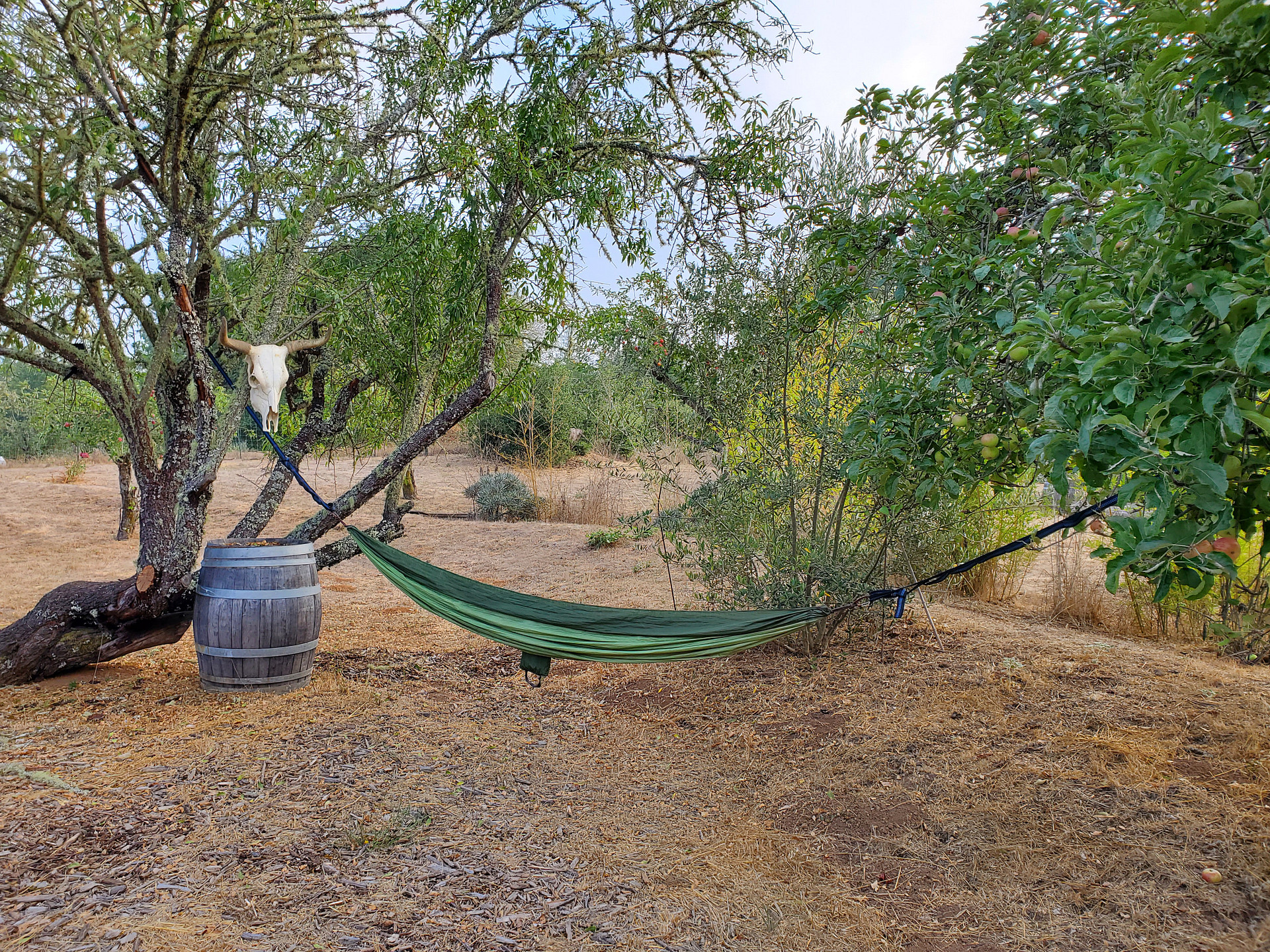 Rancho Laslendini