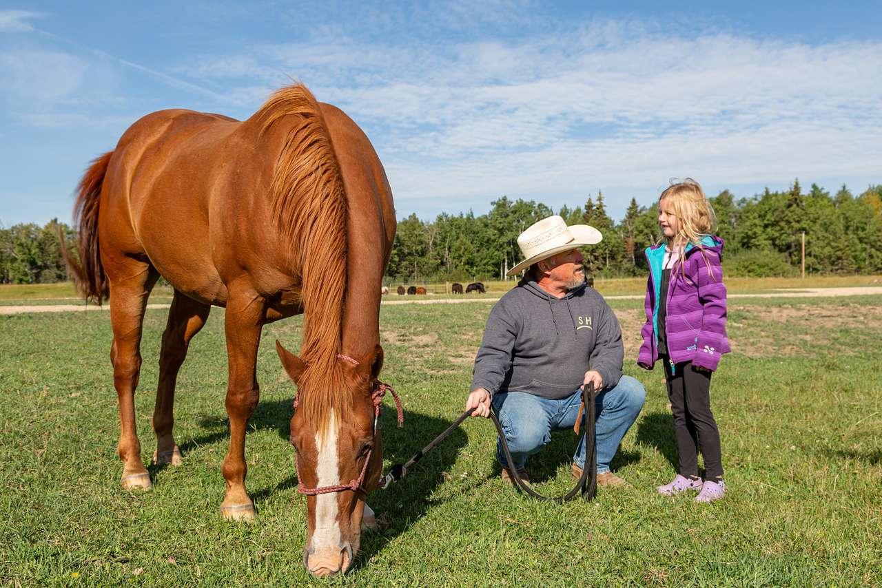 Horse riding lessons