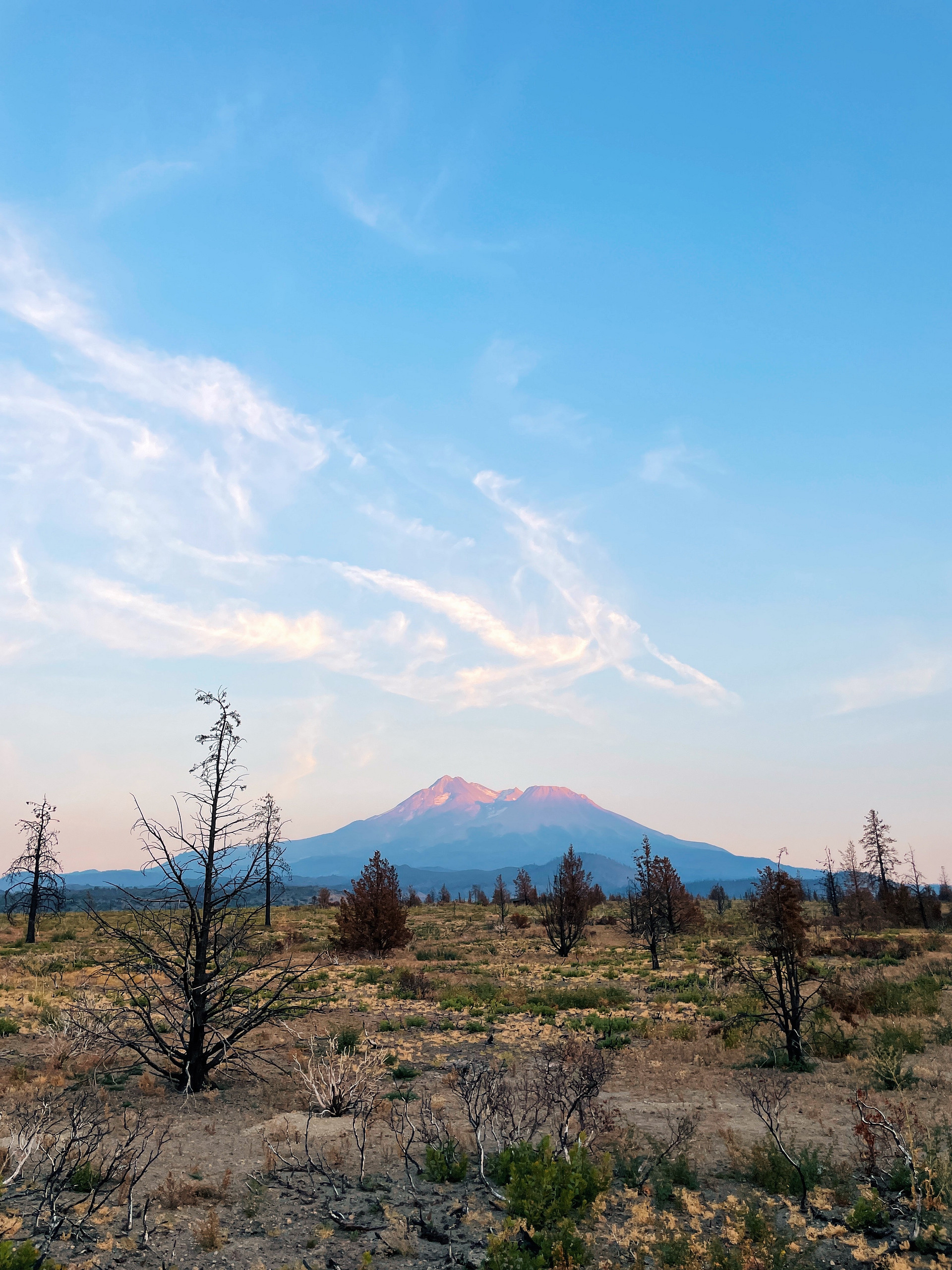 Juniper Valley Campsites