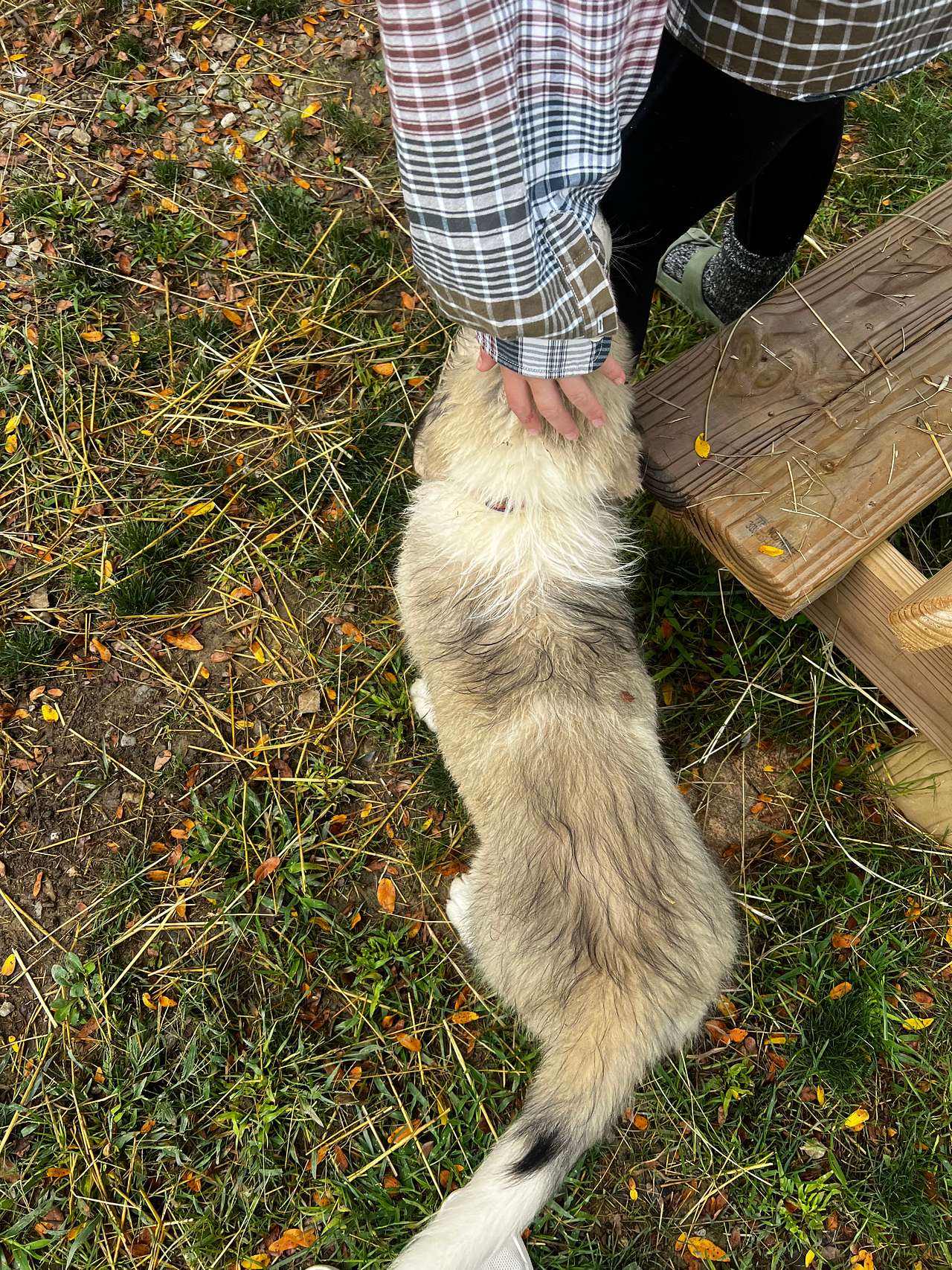 One of many friendly animals :)