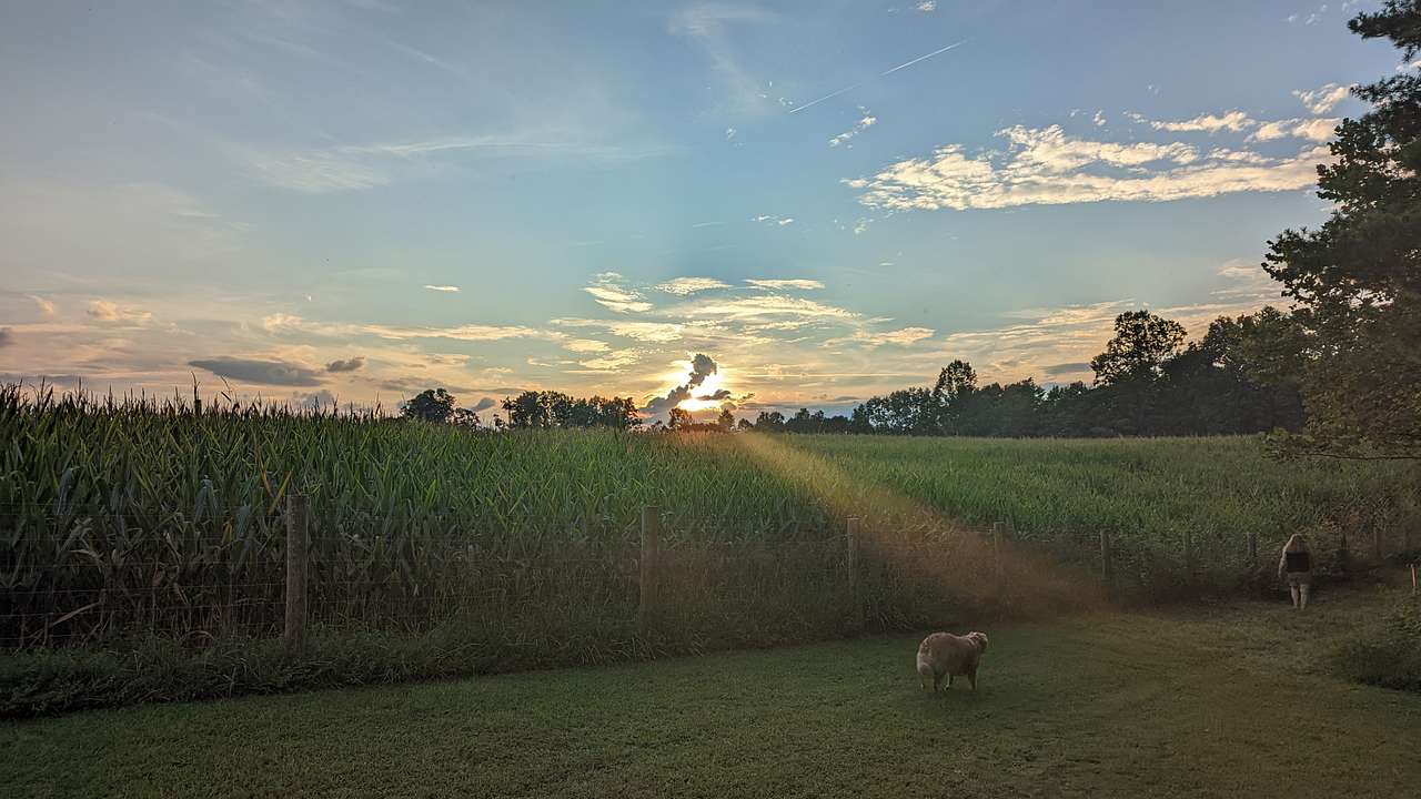 Secluded Farm Camp near Damascus VA