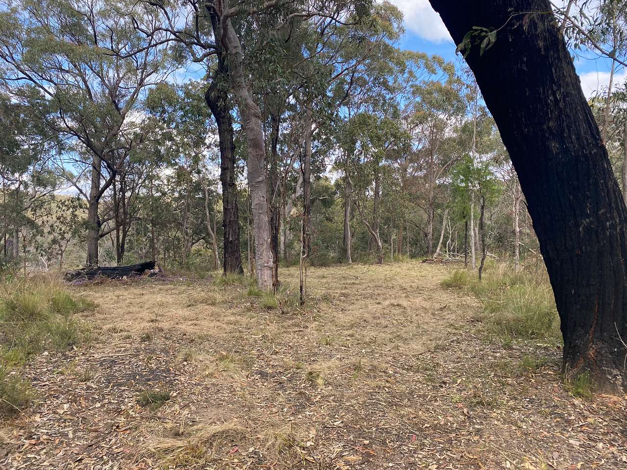 Kamameja Remote Bush Camp