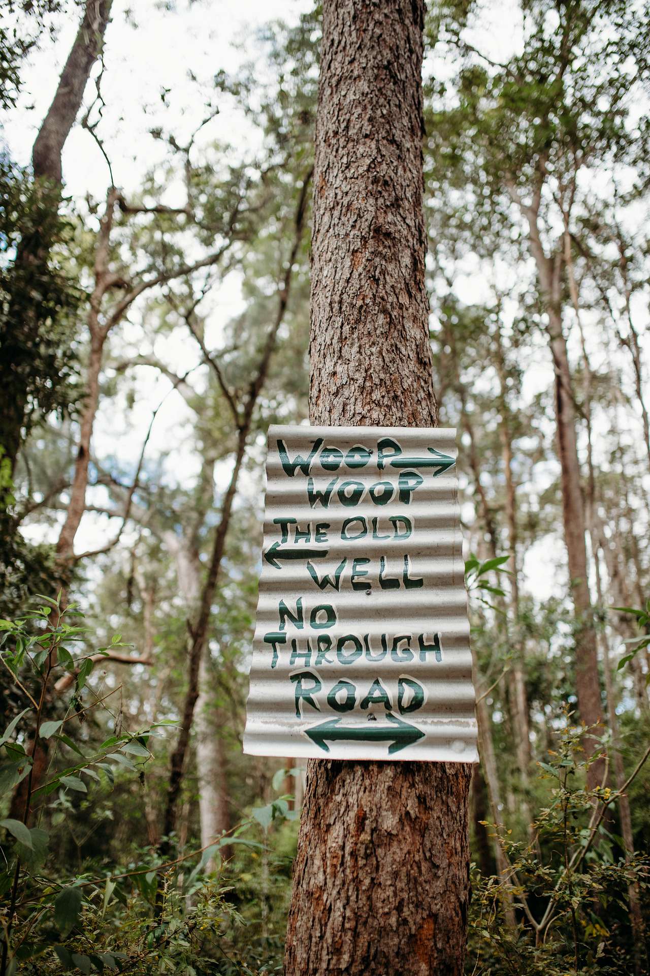 The Rustic Resort Wamuran
