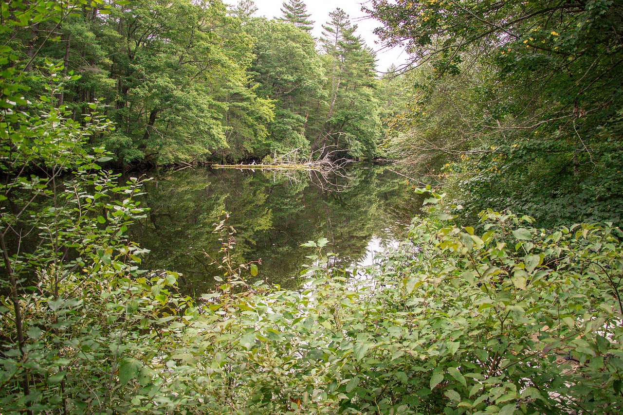 The river that the campsite is right along