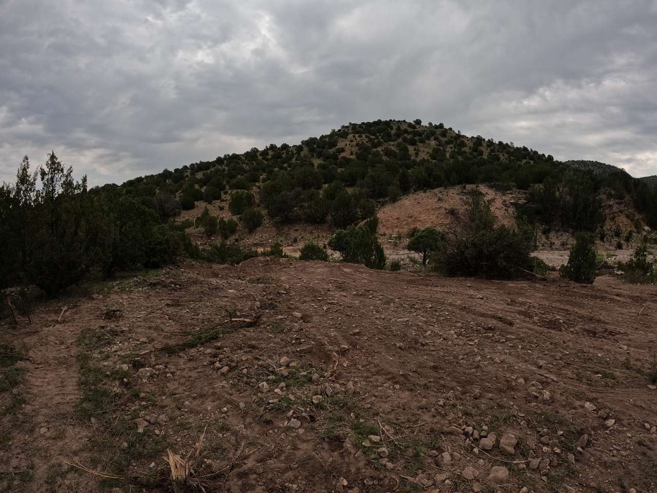 Cienega Arroyo Ranch