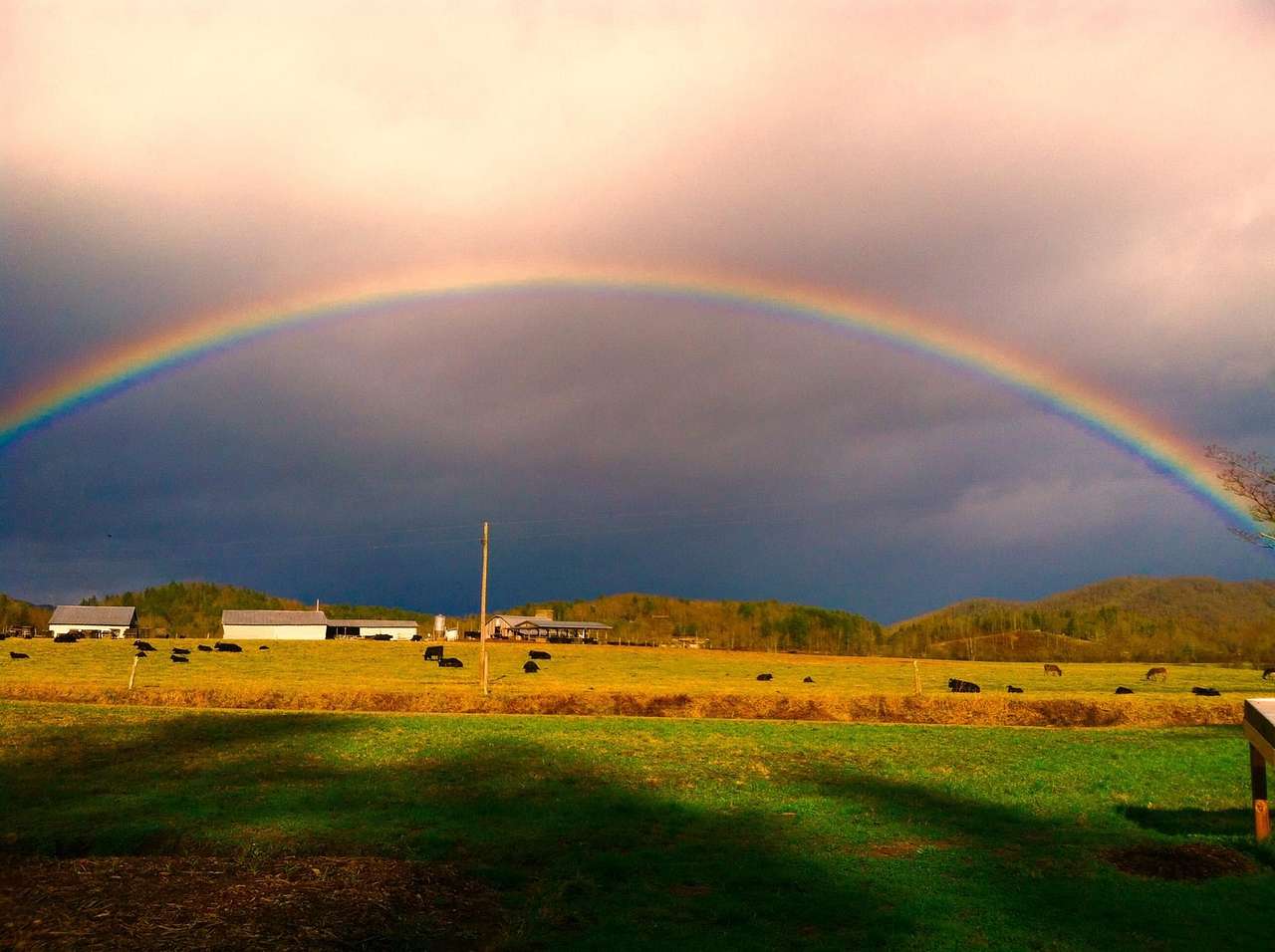 Bell’s Scenic RV Pasture