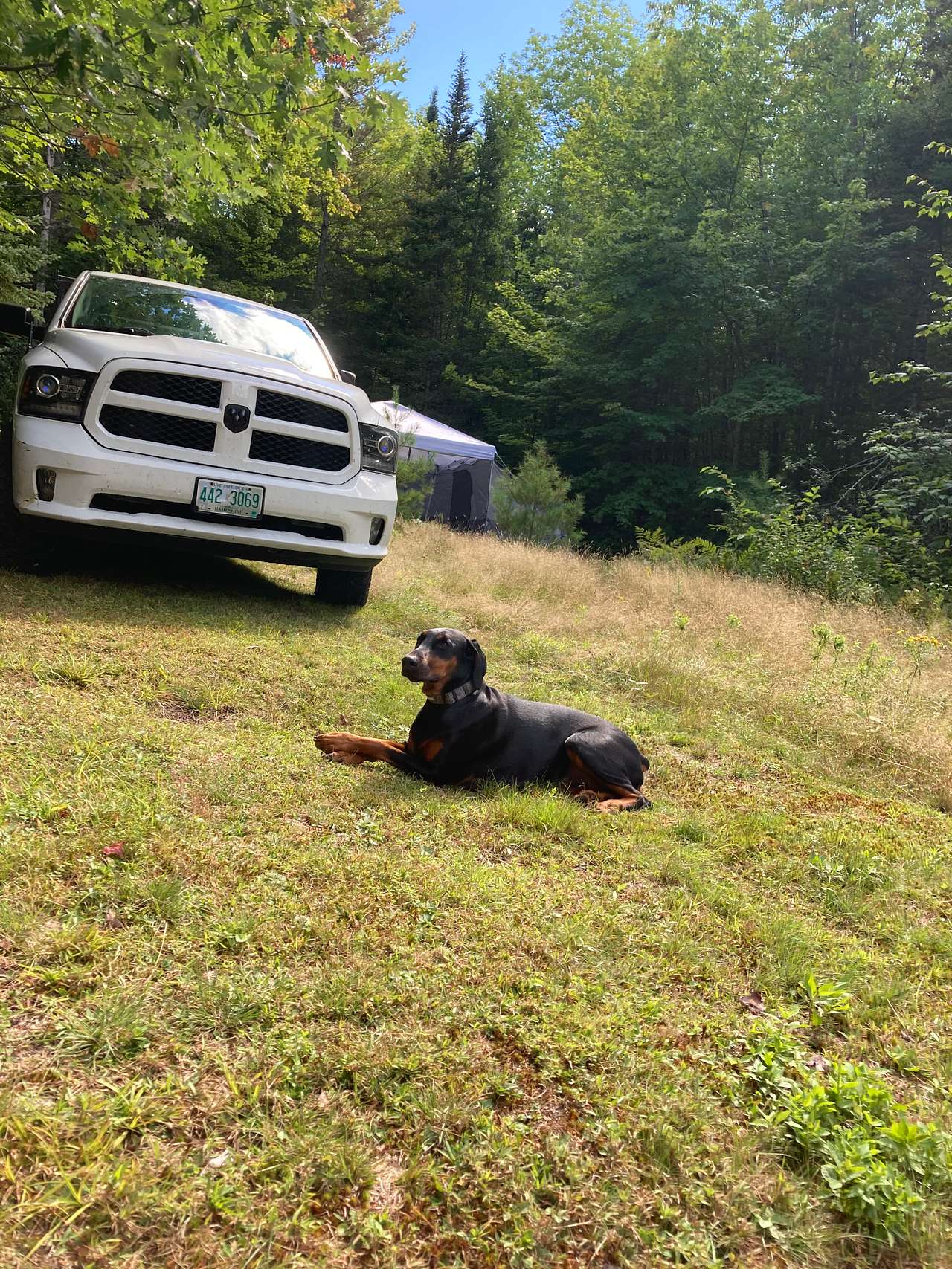 Wilbur Mountain Cabin, Bethel Maine