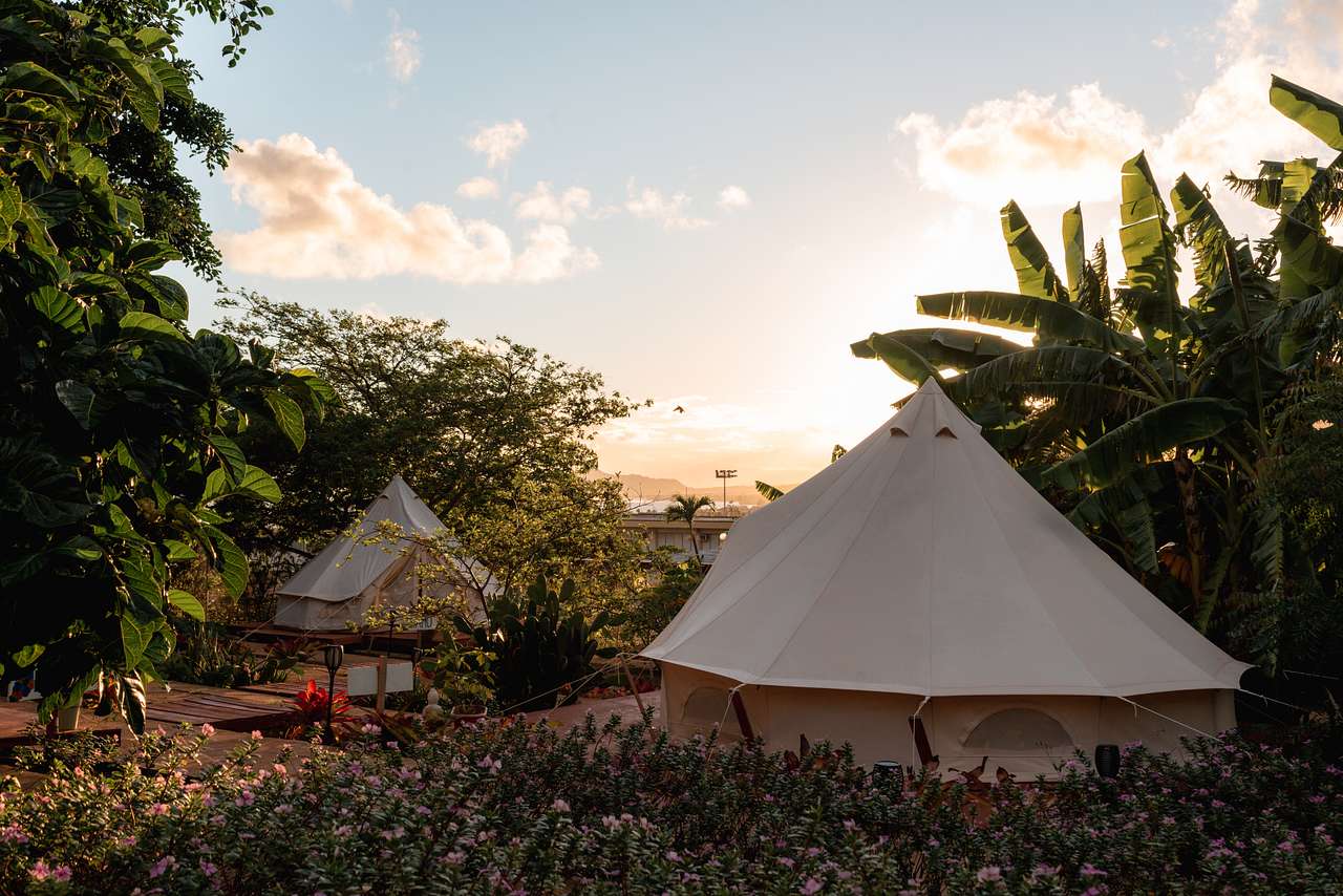 Sun Farm Hawaii @ Koko Head