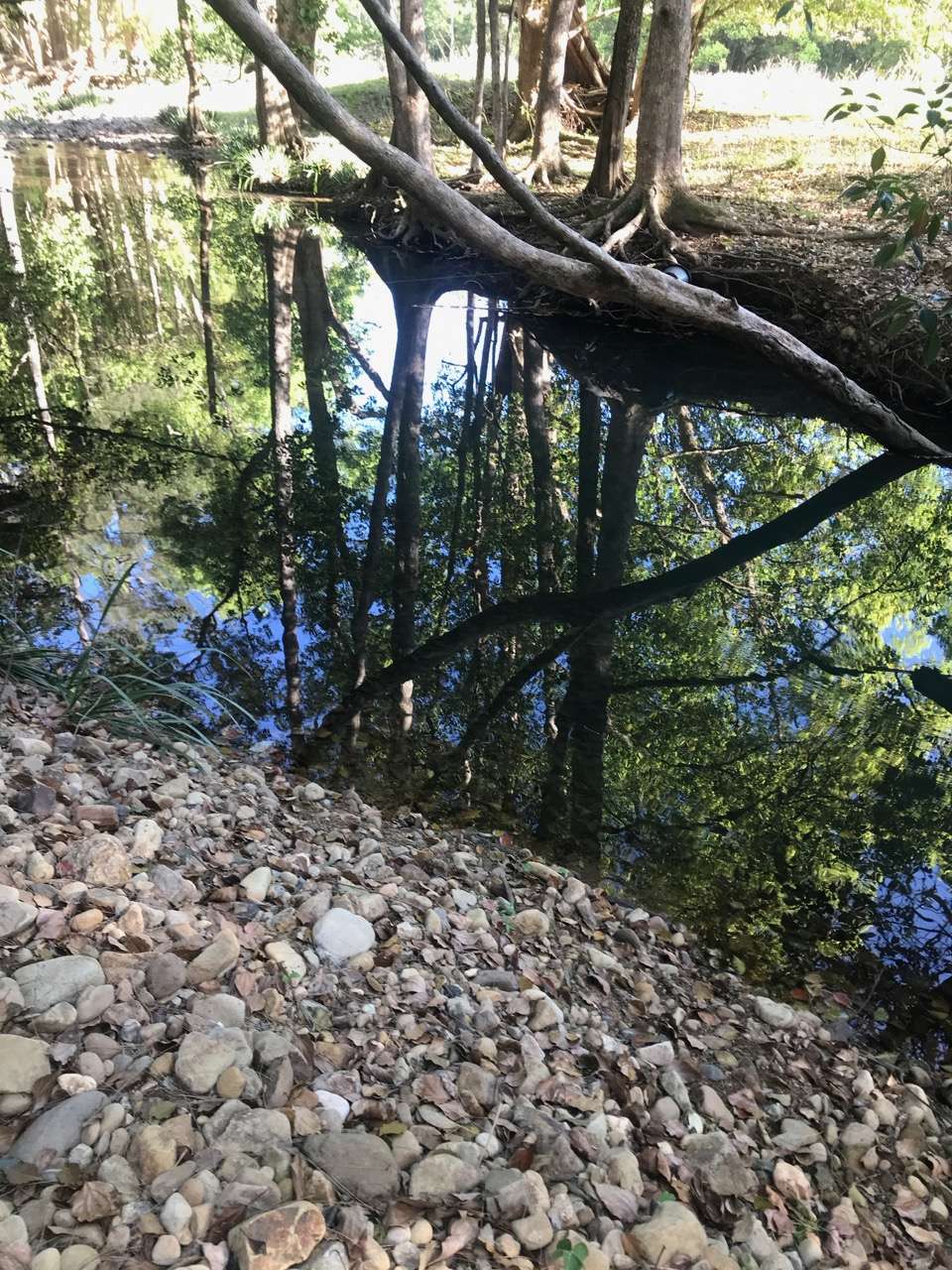 Crystal Creek Springs