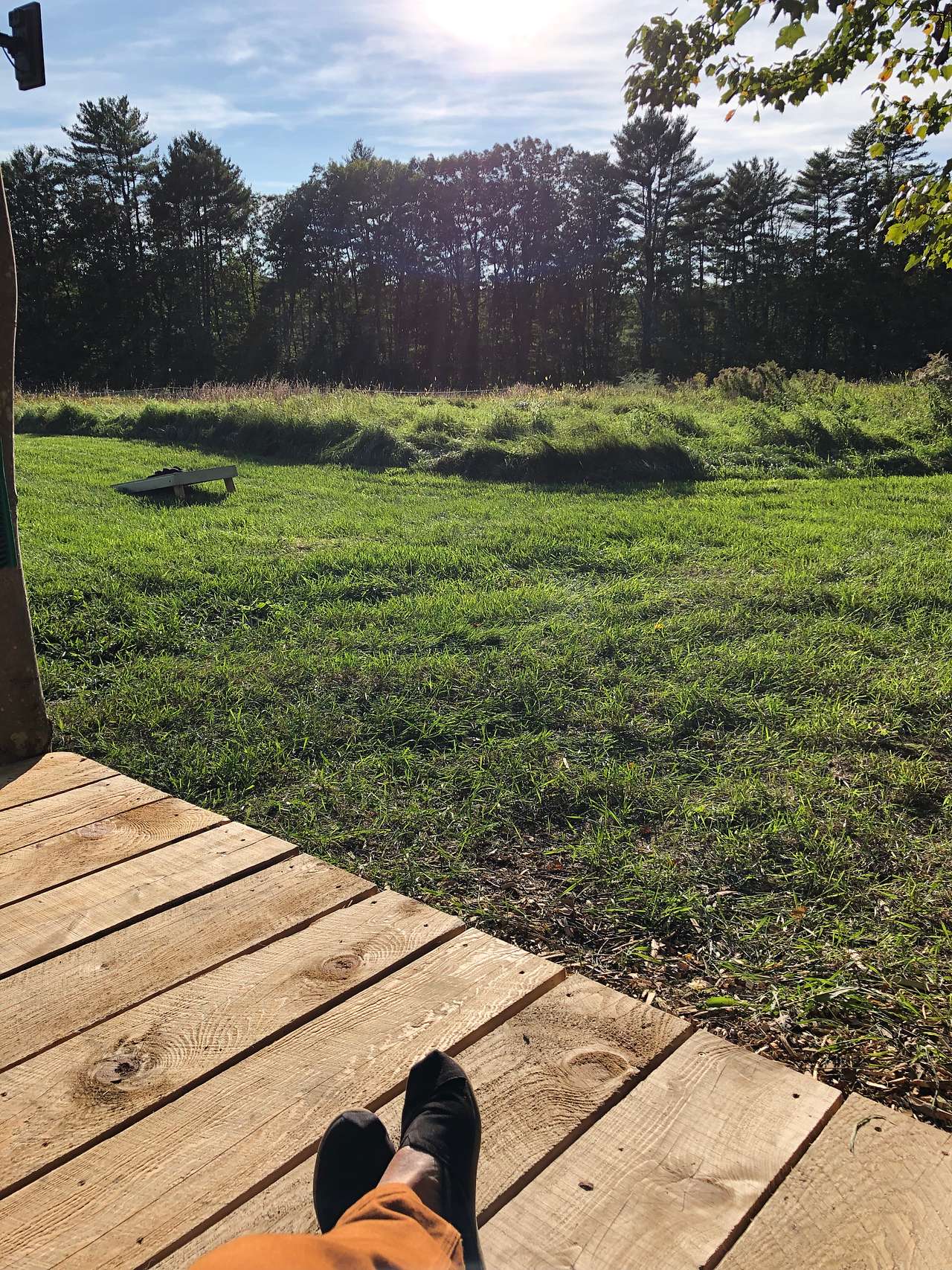 Camp Frogginton
