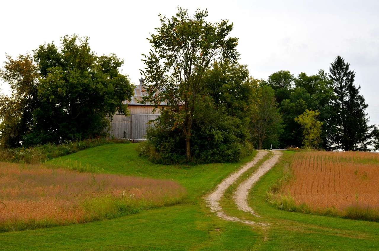 Beaver Ranch