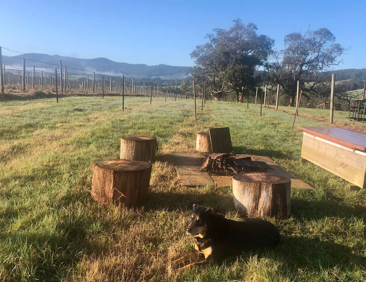 Summerhill Vineyard