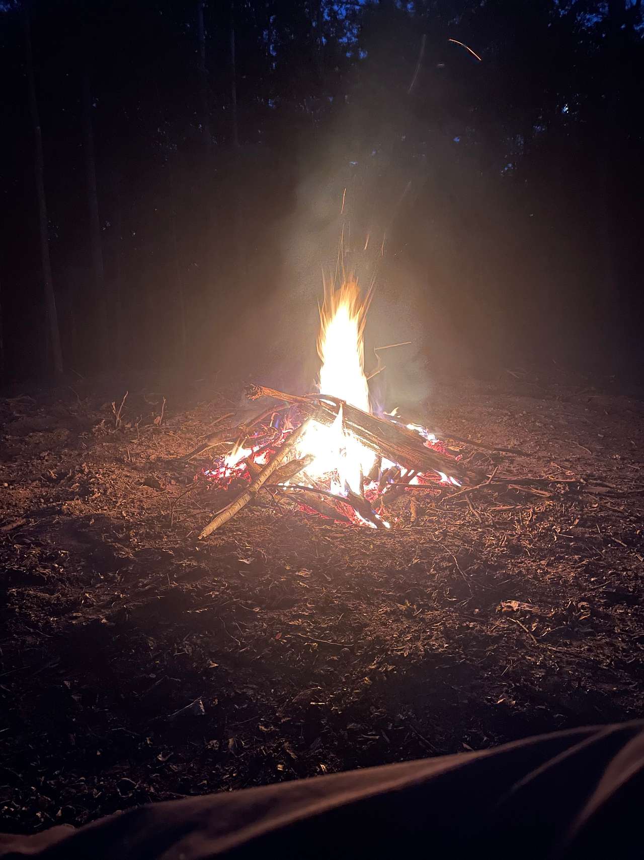Duck duck camp