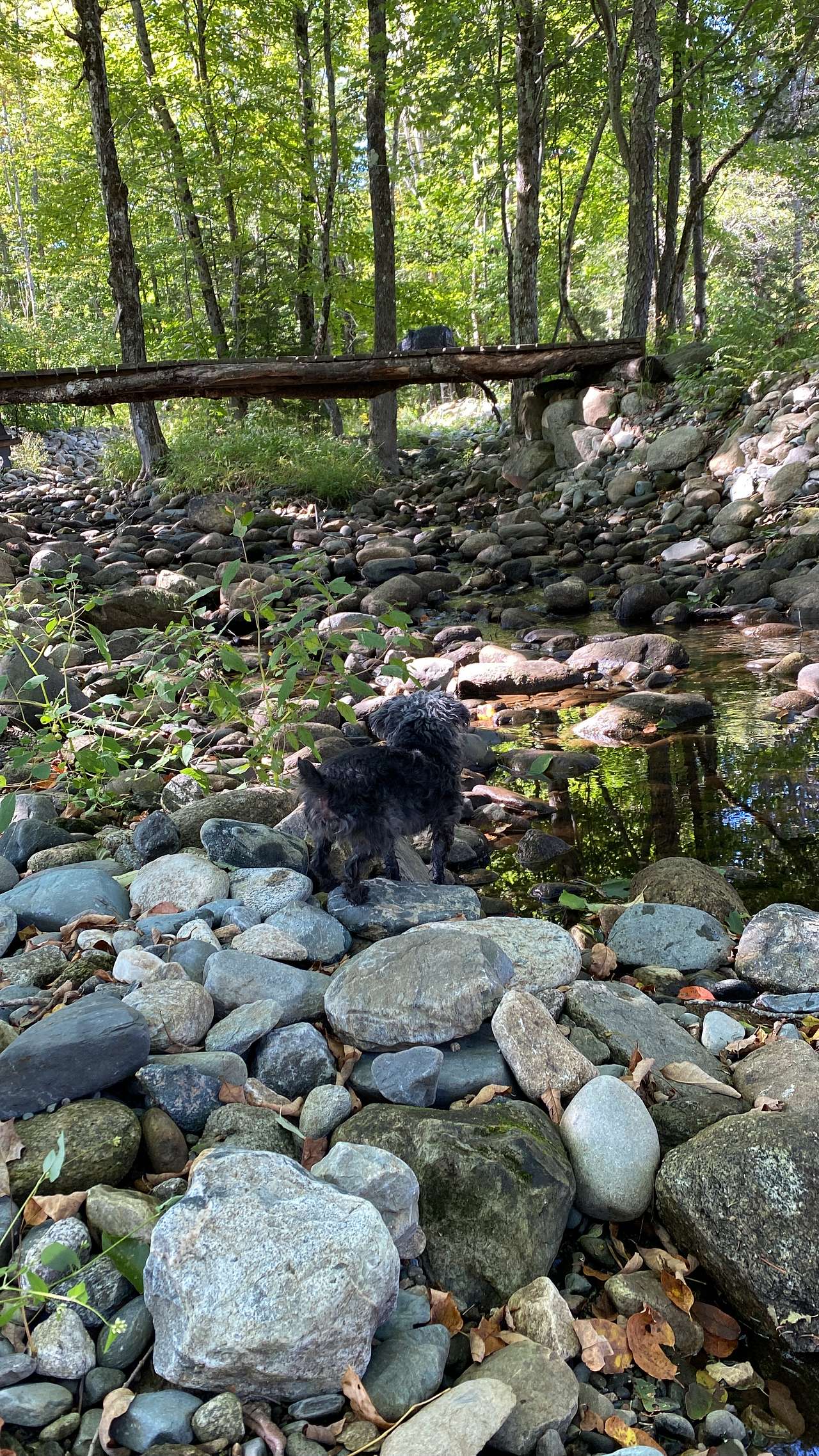 Camp Ebb and Flow