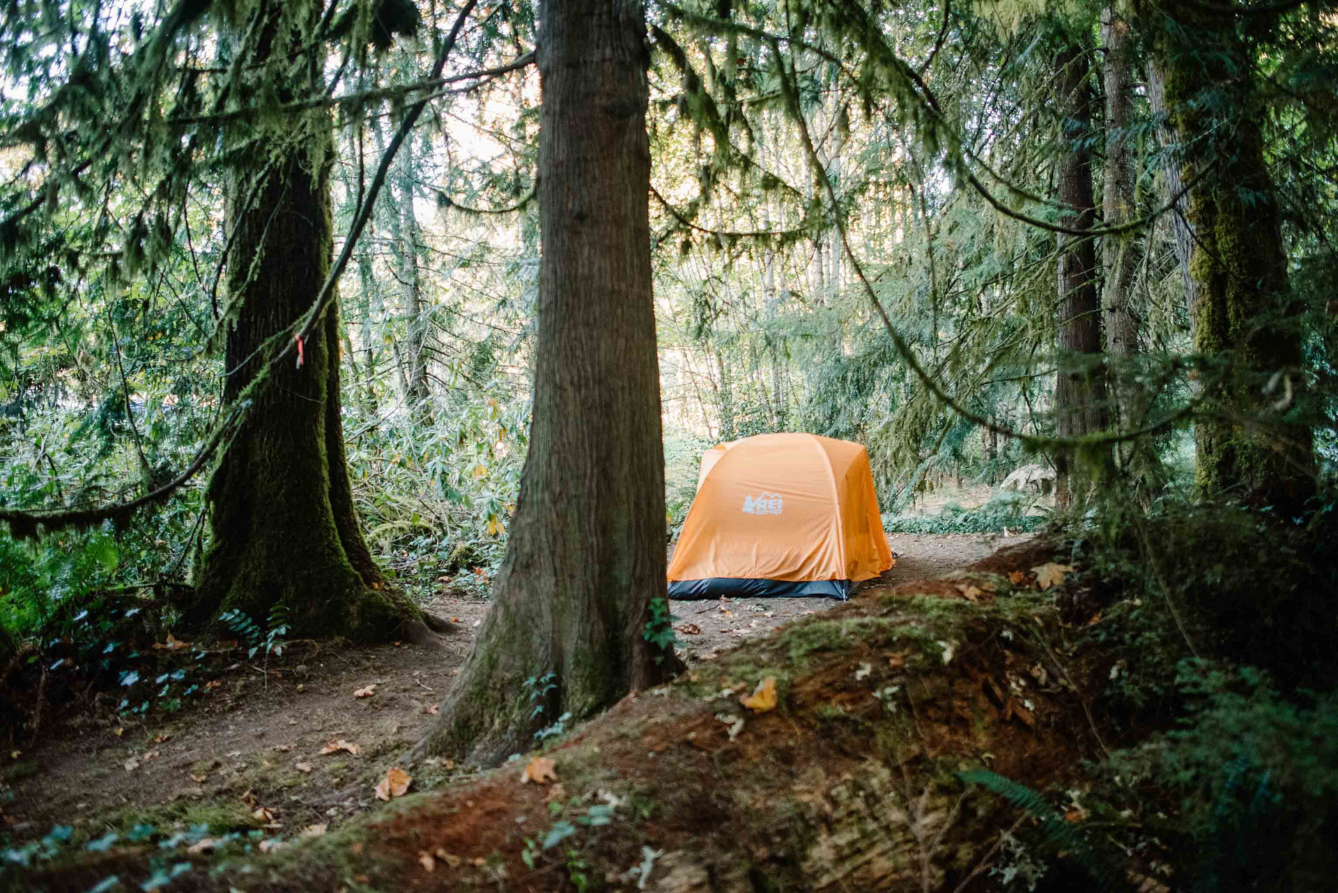 Tent spot