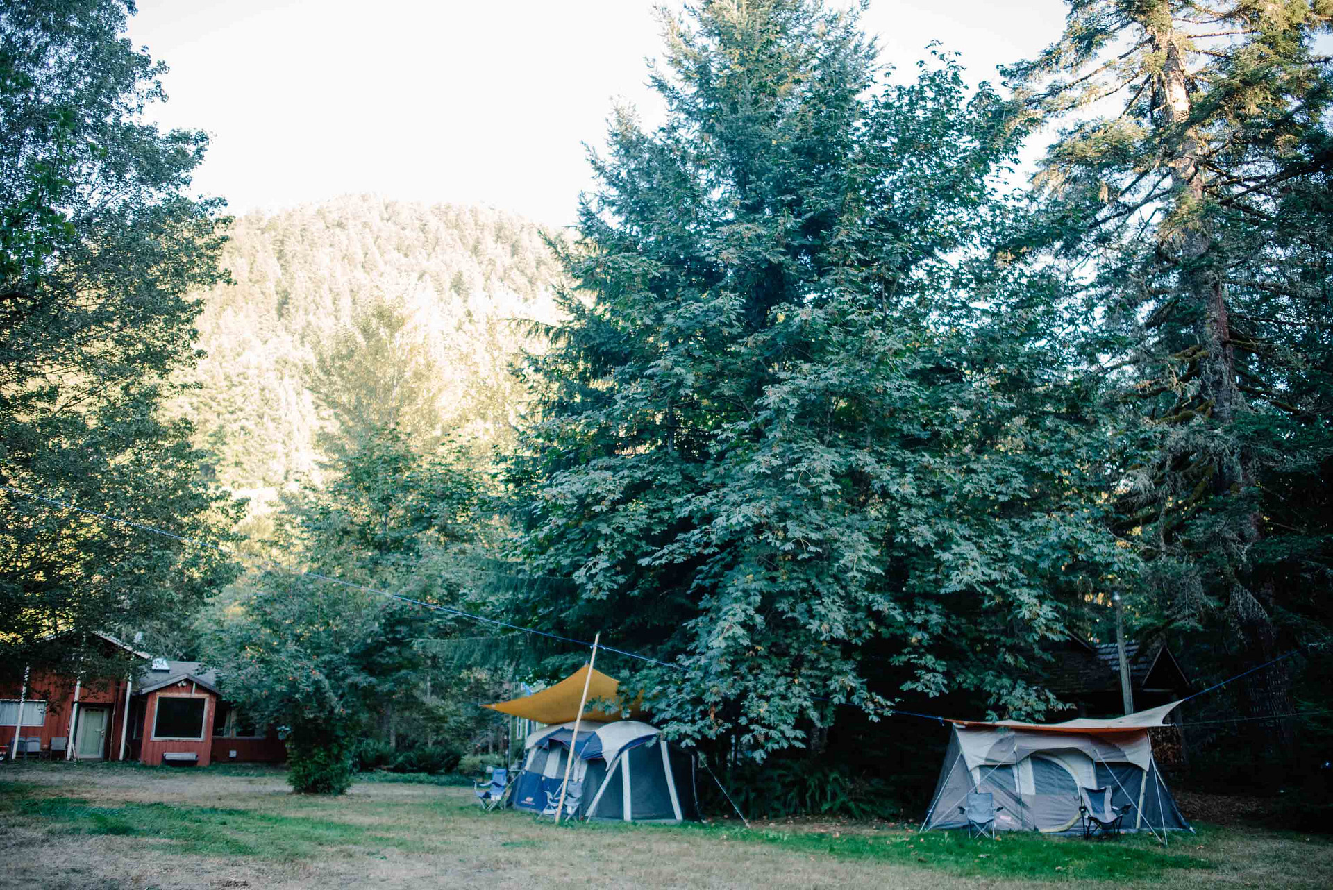 tent rentals