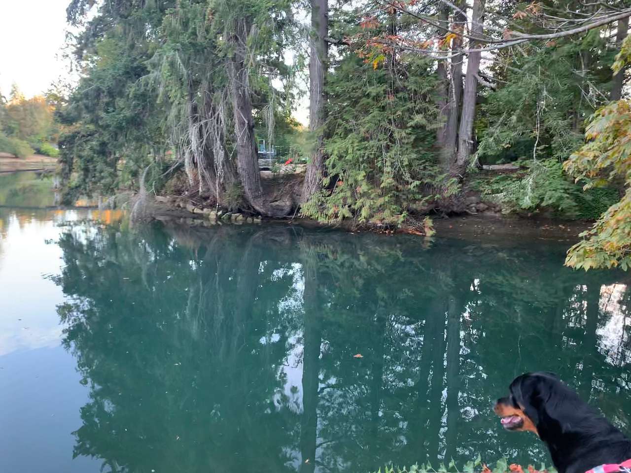 A walk at Lake Bay Marina right across the street from the site.
