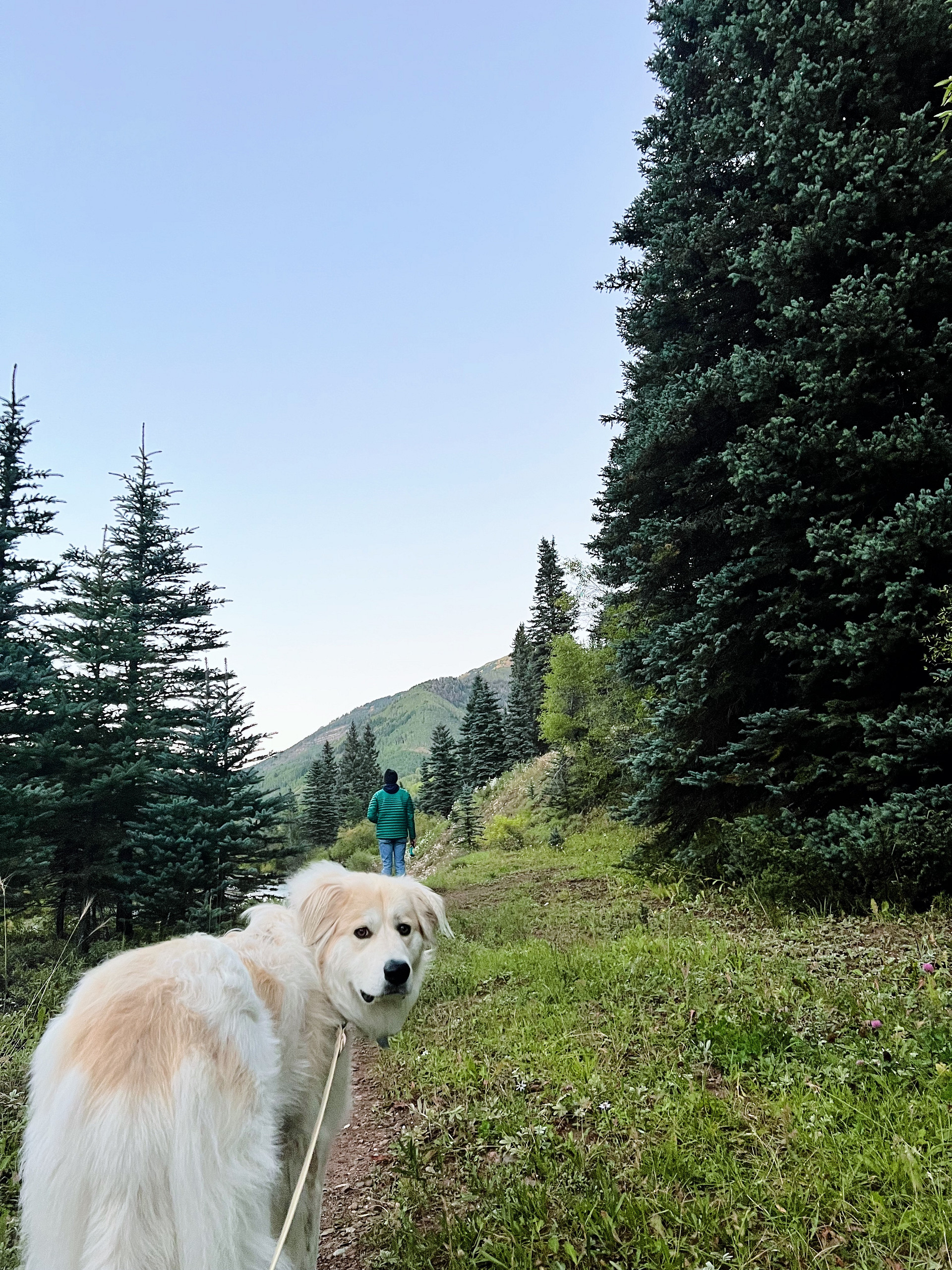 Lazy Rooster Ranch