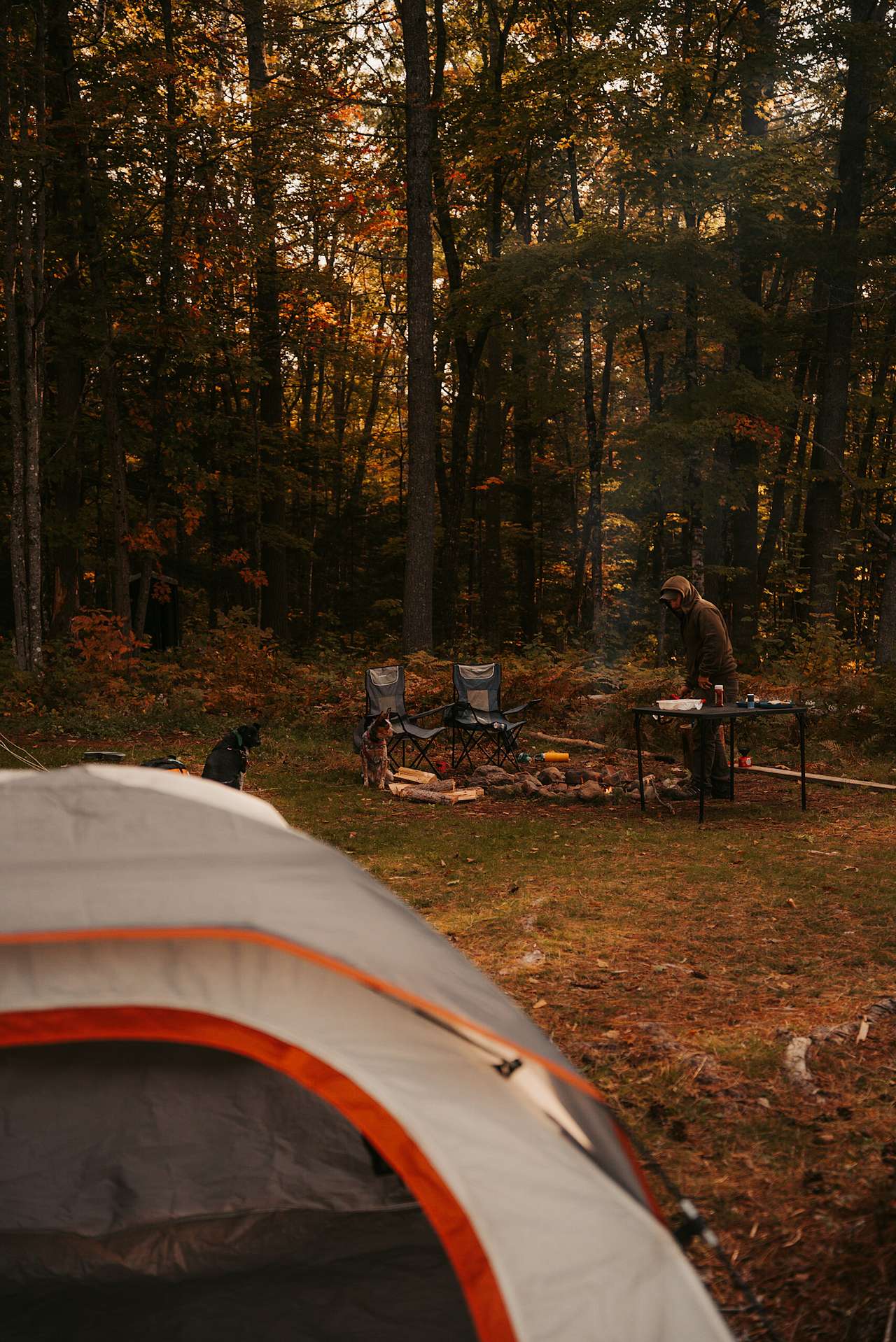 Flashing Moose River Camping