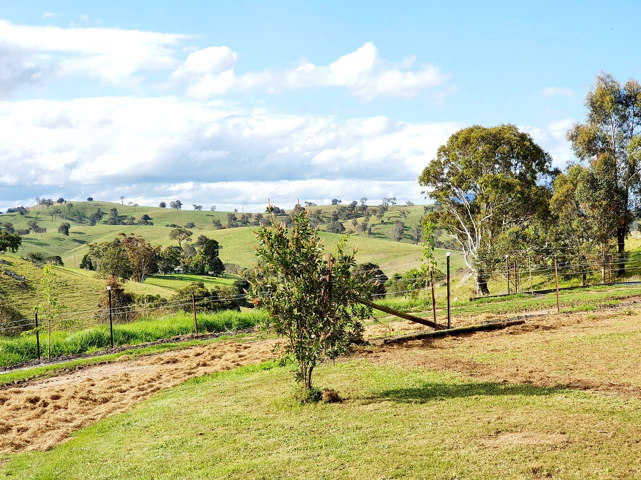 Talisman Bushcamp