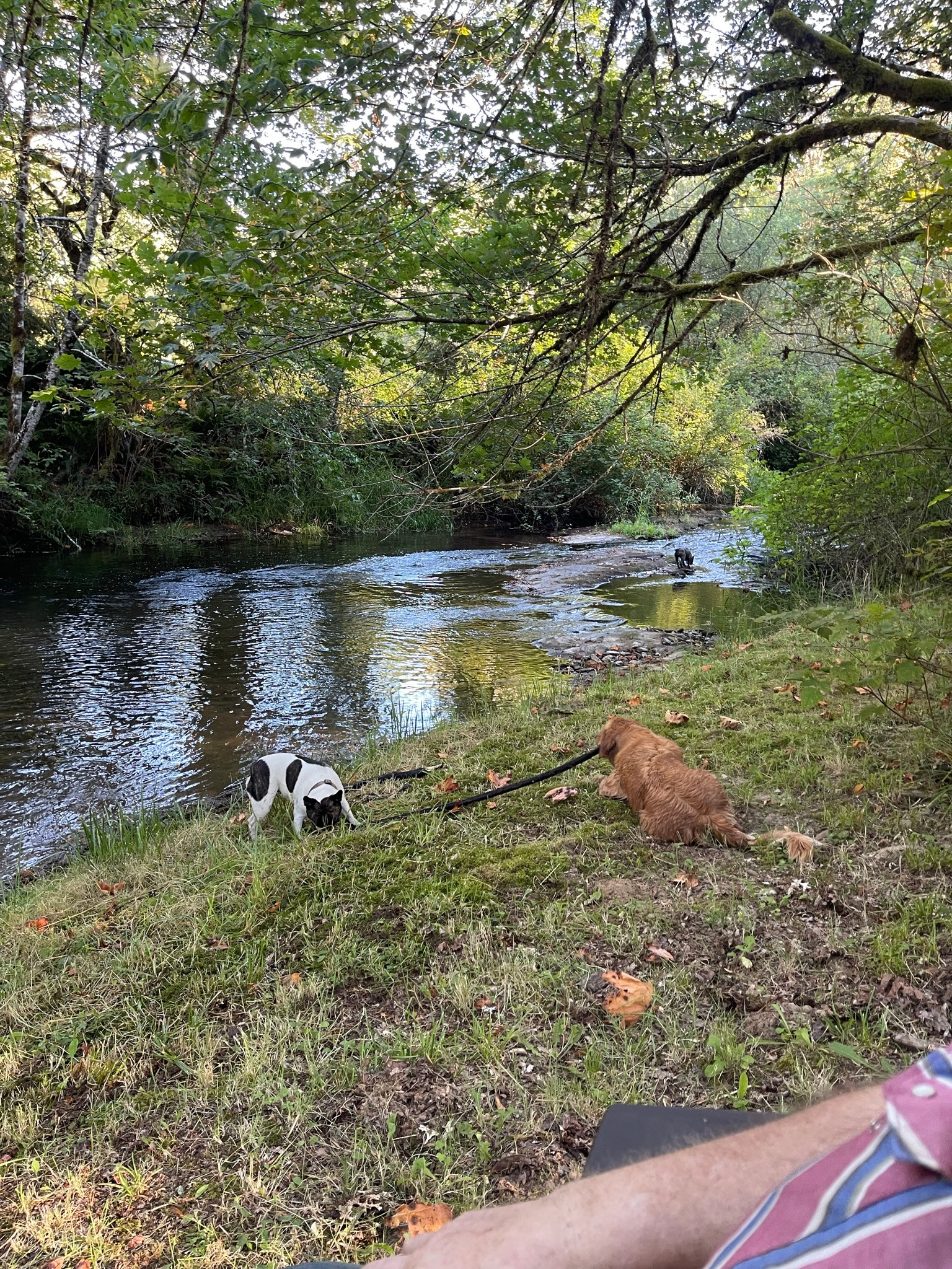 Breeze Valley Farm & Creekside Camp
