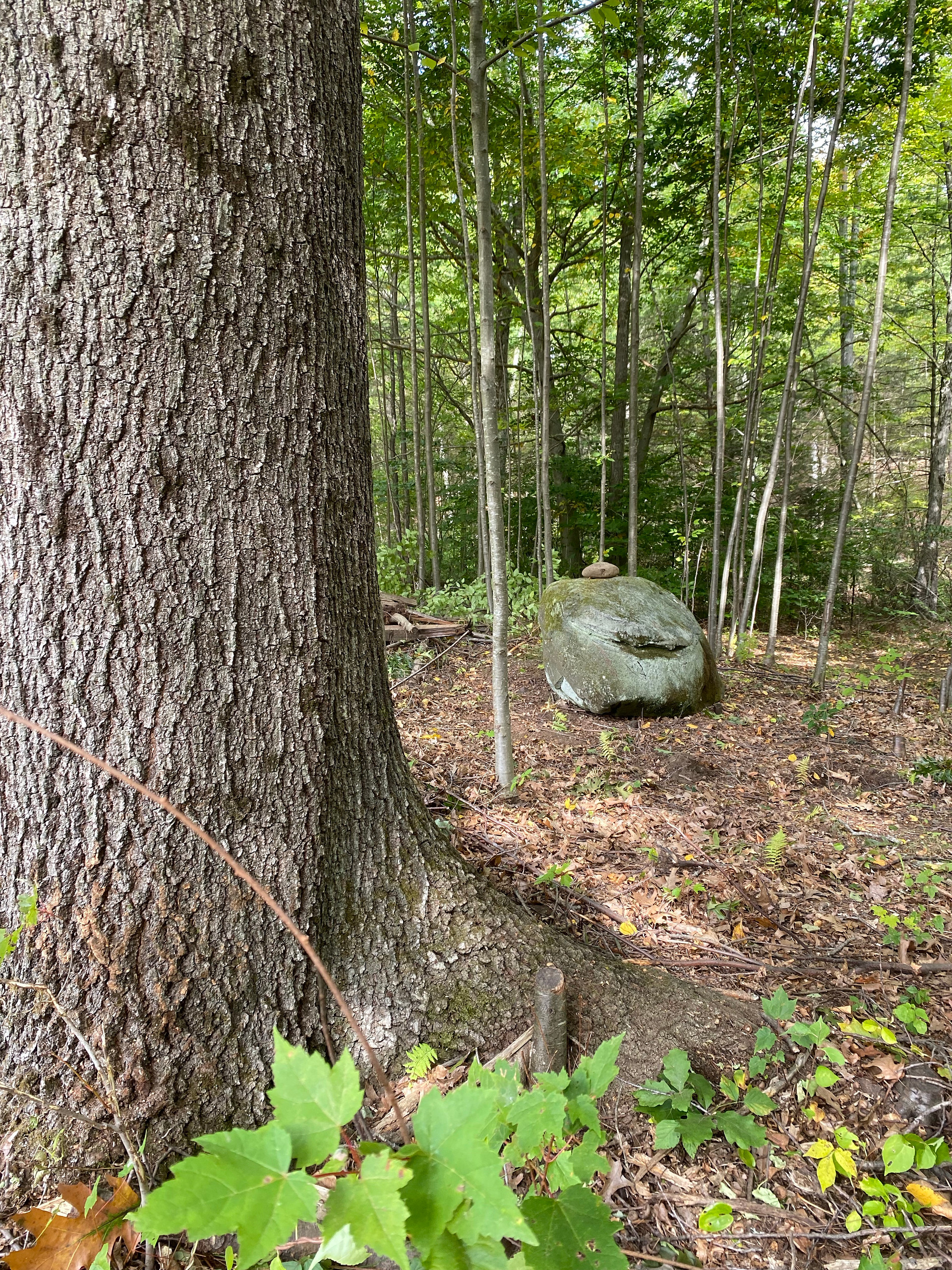Hickory Ridge