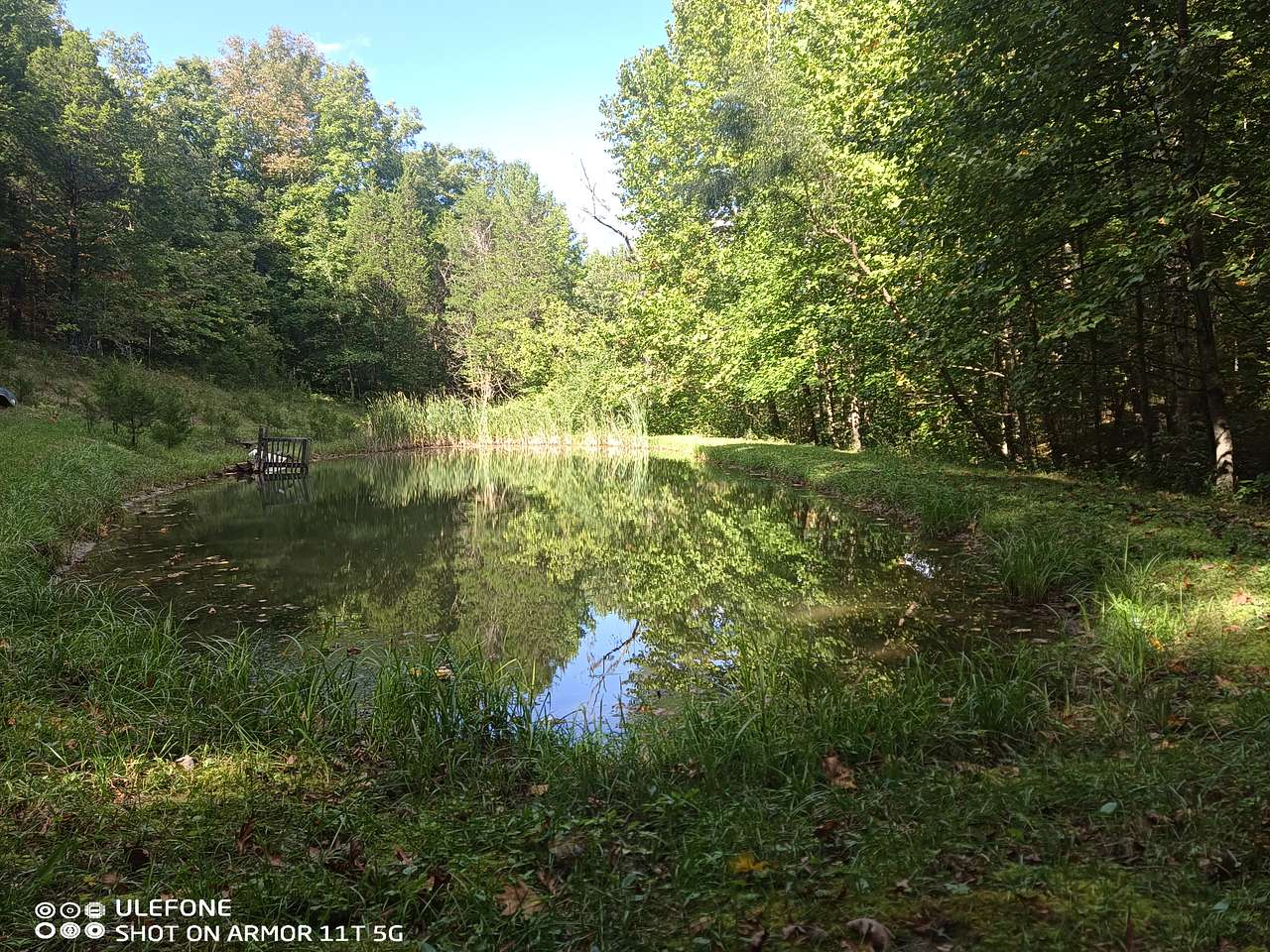 Bear Pond