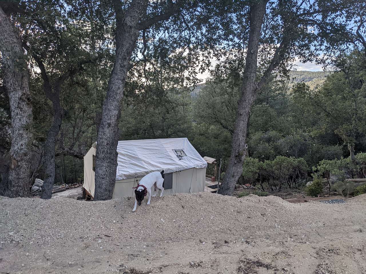 Serene forest privacy for 4WD