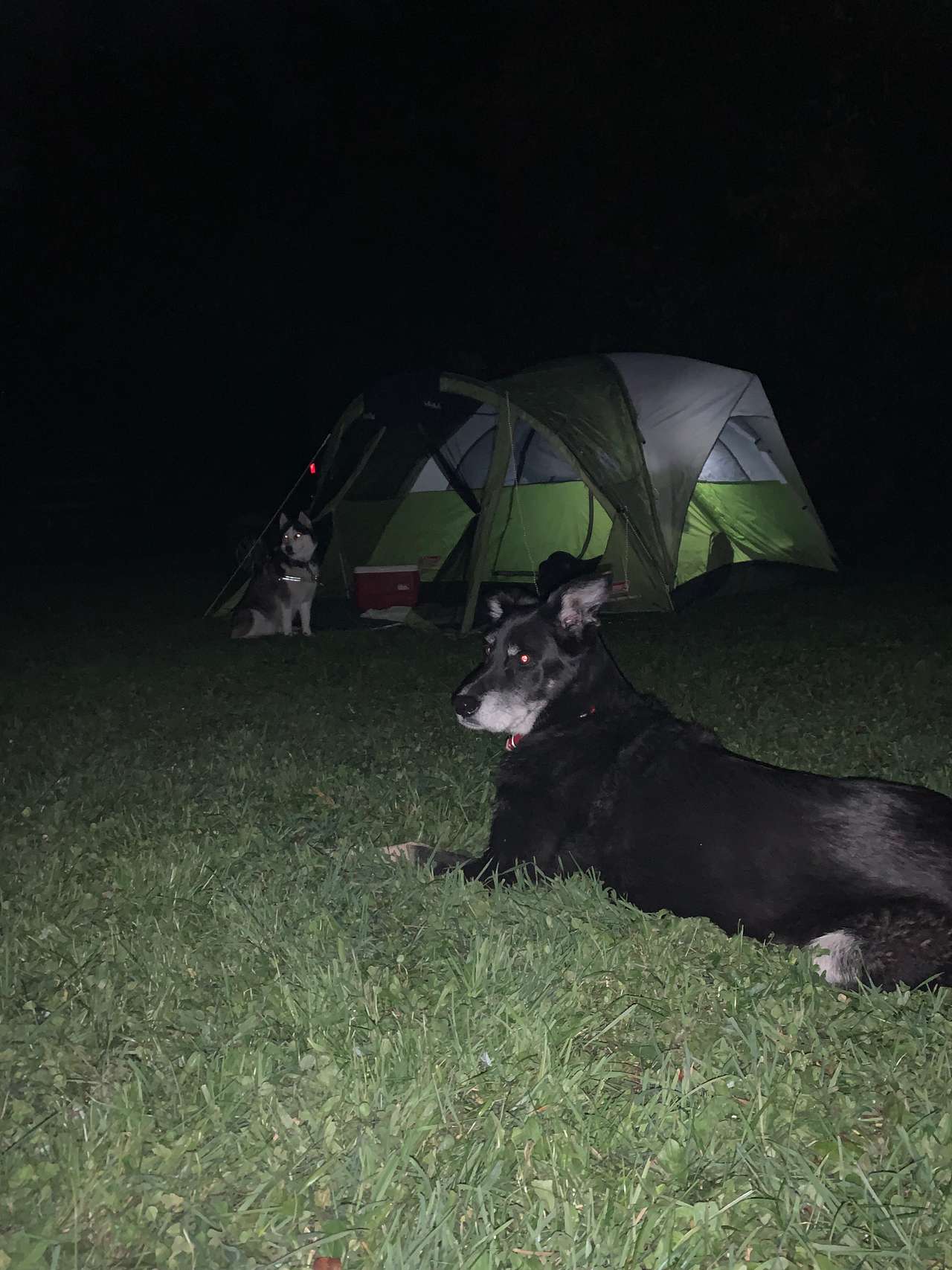 Winn Hill Farms Camping