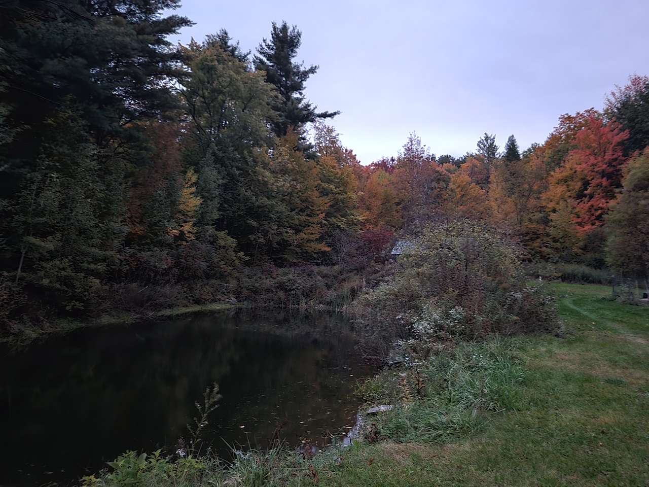 The pond on Franks property. We pulled our chevy suburban right up to it and camped there.
