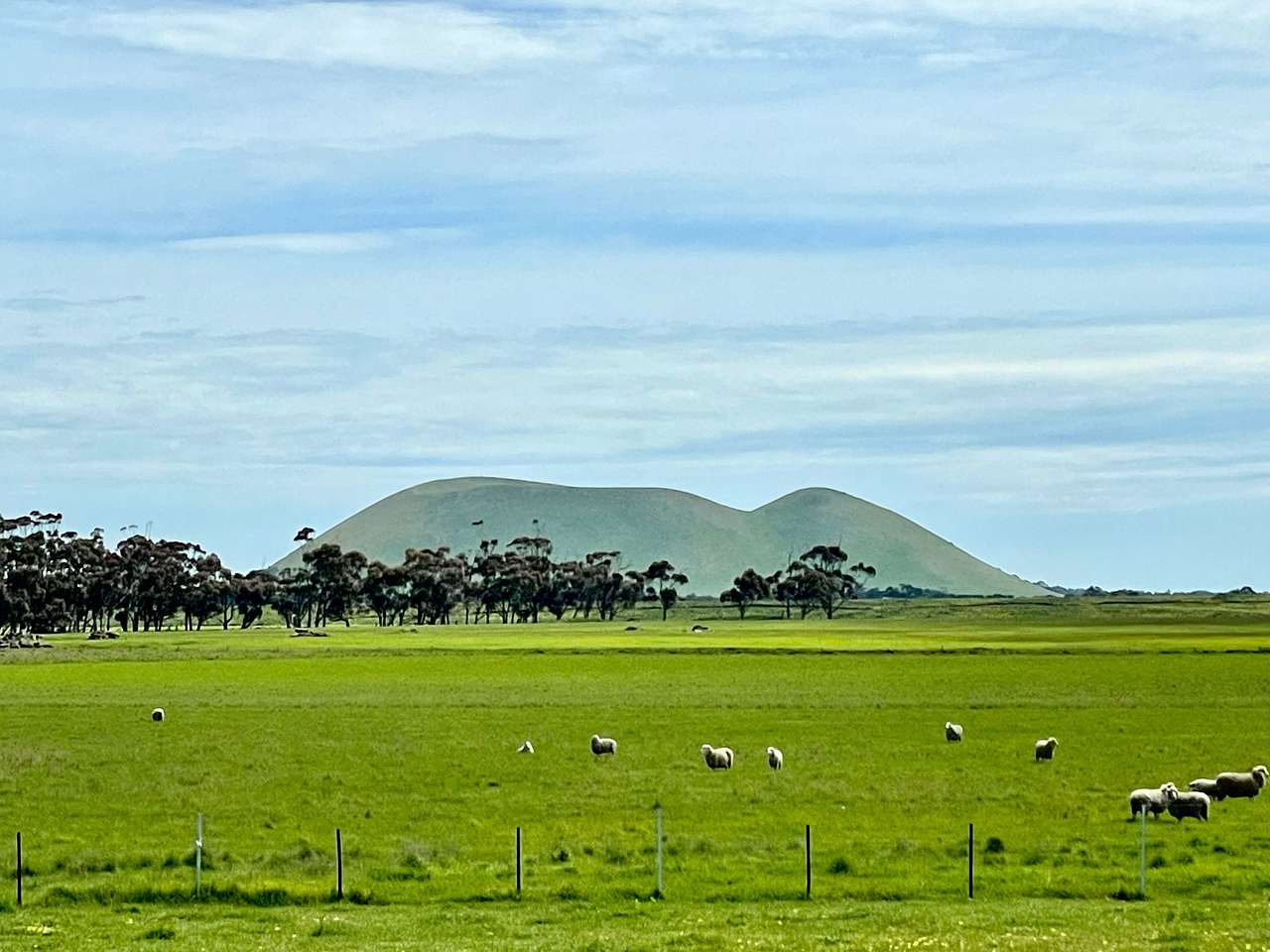 Larra Estate