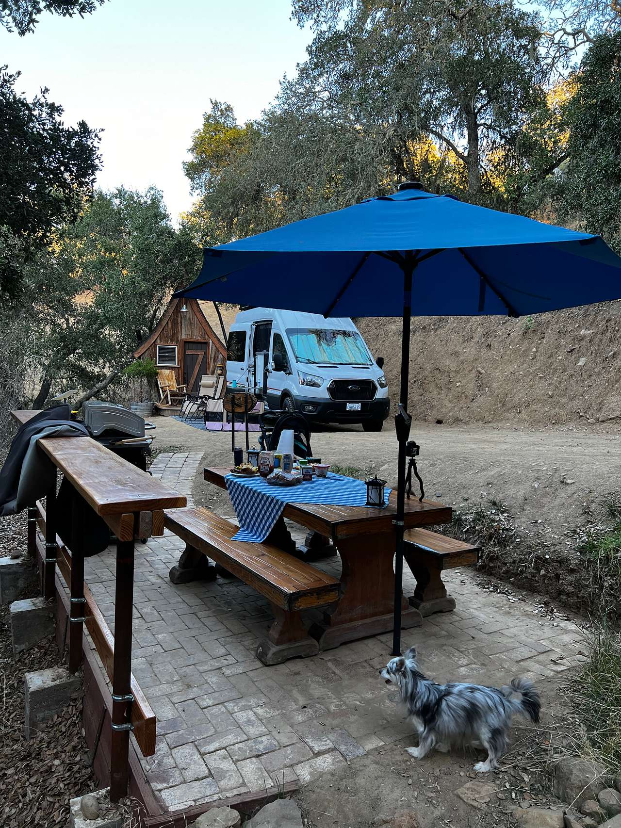 Wendee's Whimsical Campsite