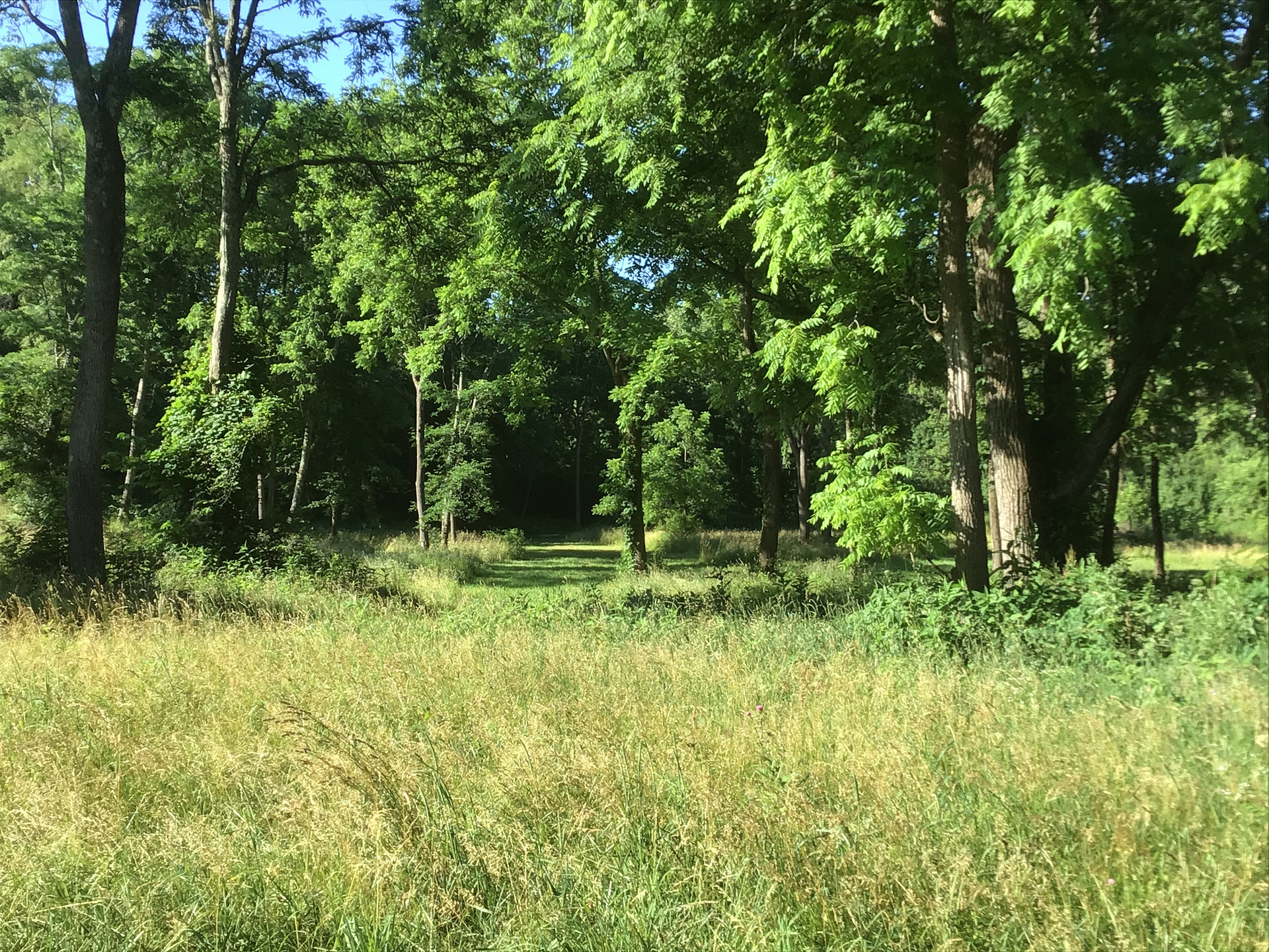 Little Darby Outdoors