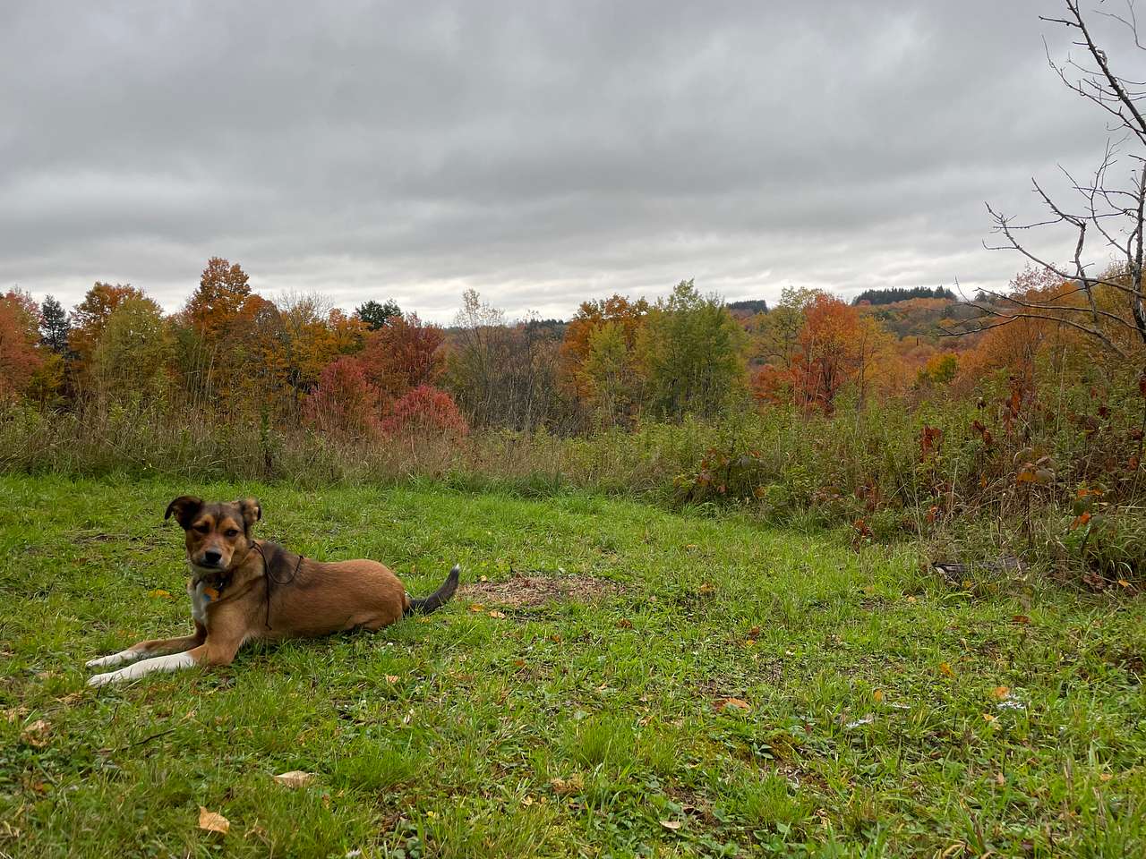 Top of the hill