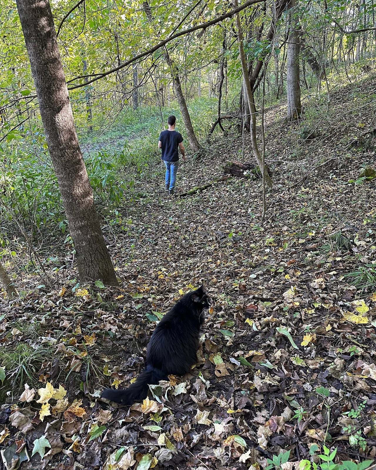 Part of our trail. Our cabin cat Leo is not on the property full time. He lives with us! 