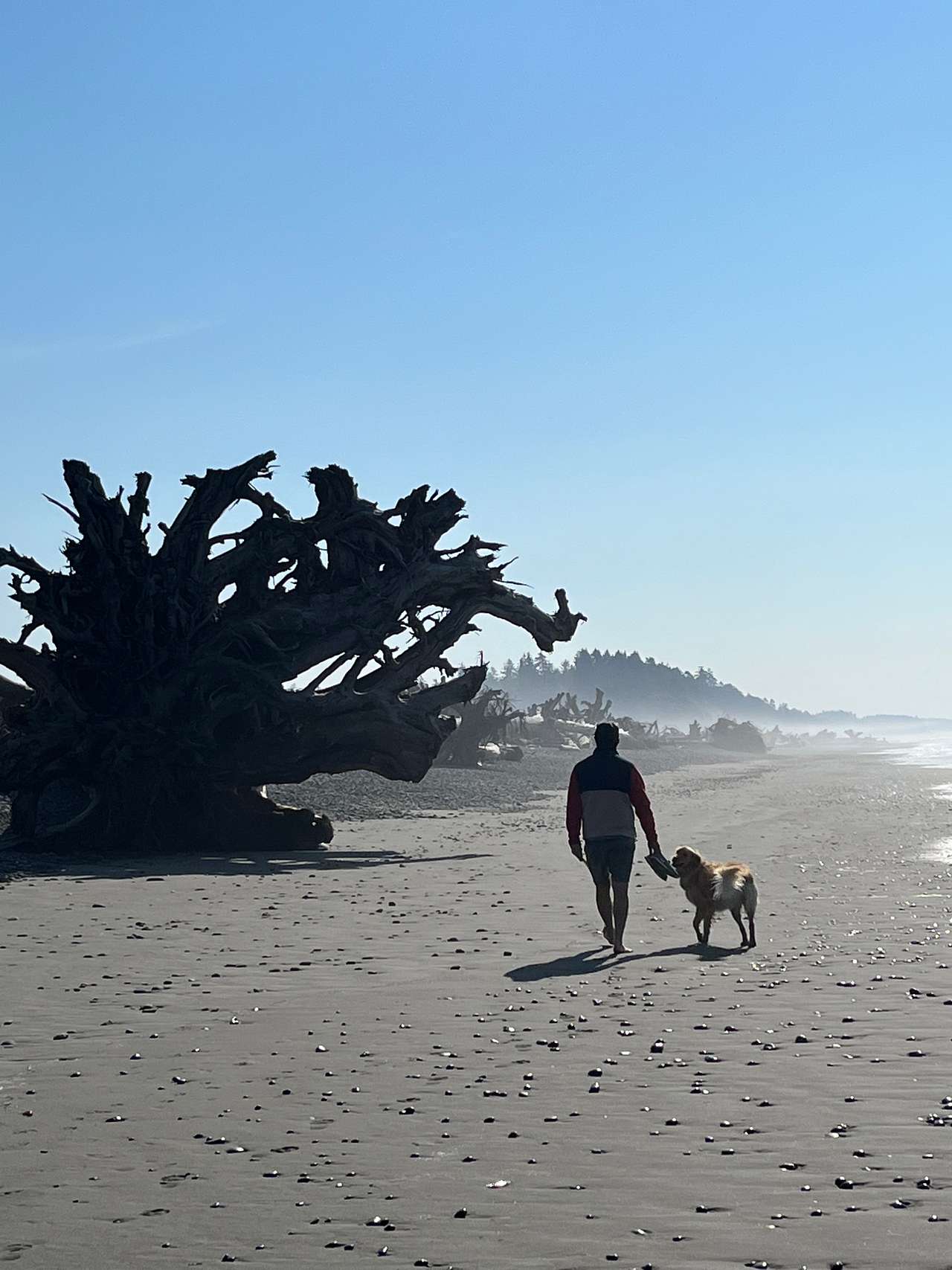 Aliya Preserve—WA Coast Eco-Retreat