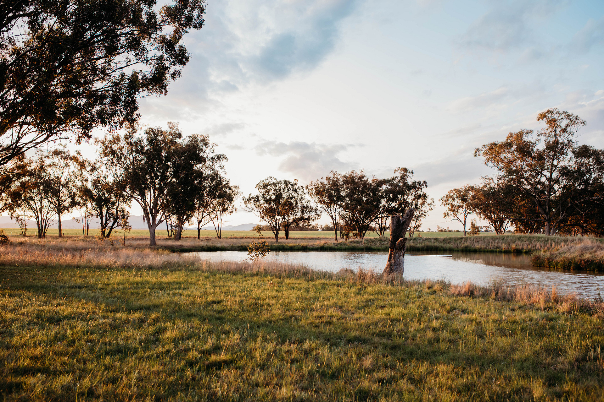 Edgecote Camping