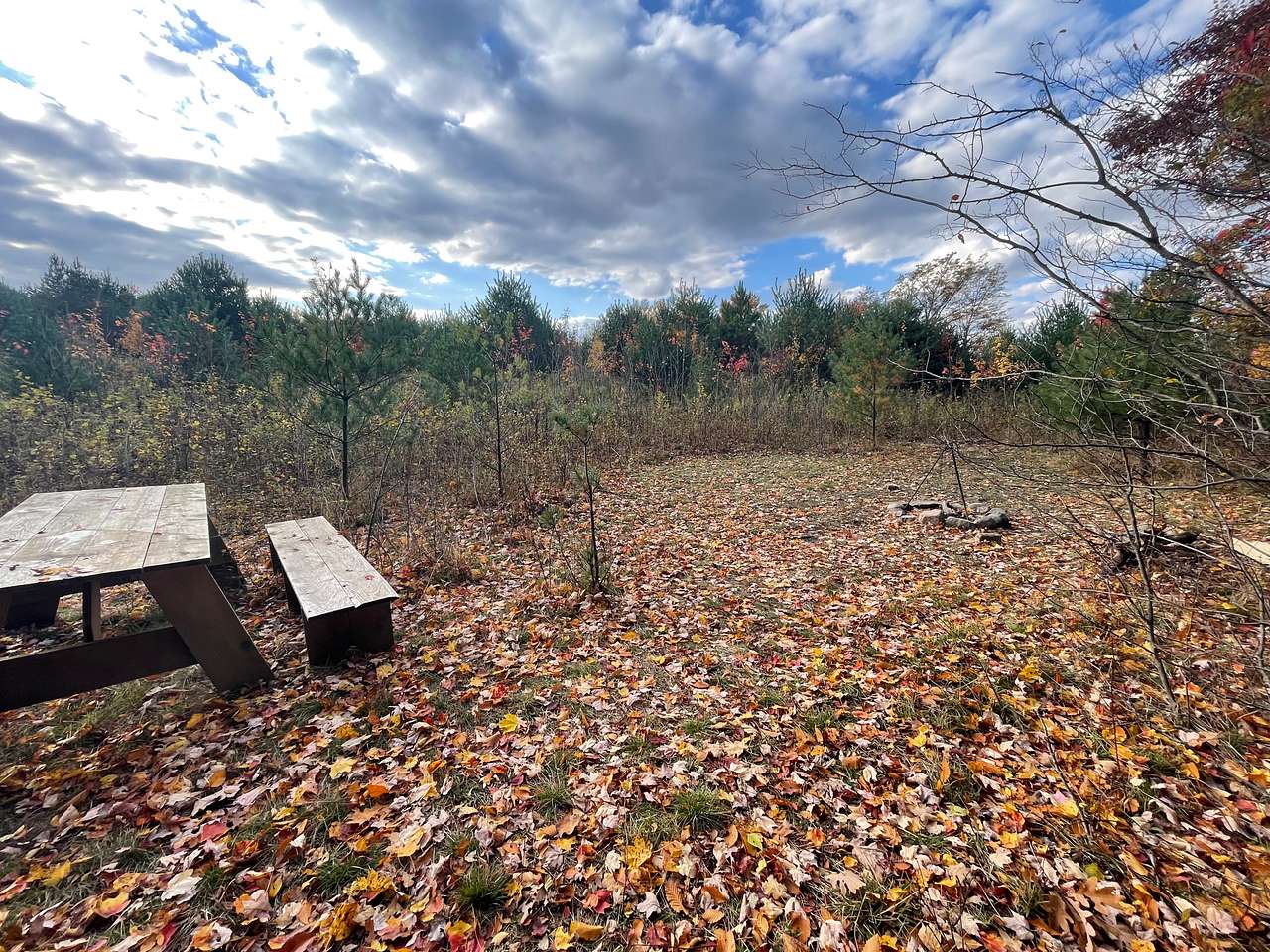 Stoney Goat Homestead
