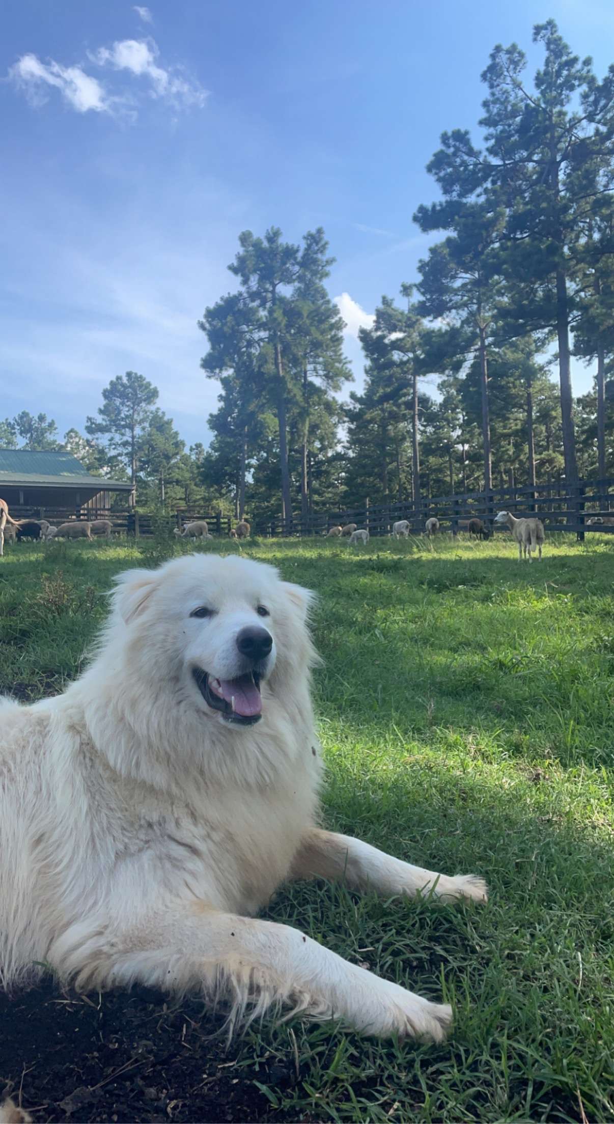 Smith Farm