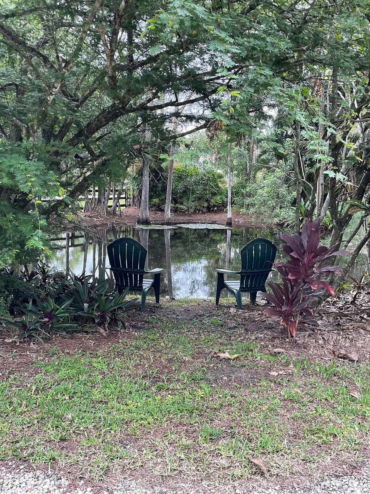 Flying Frog Ranch