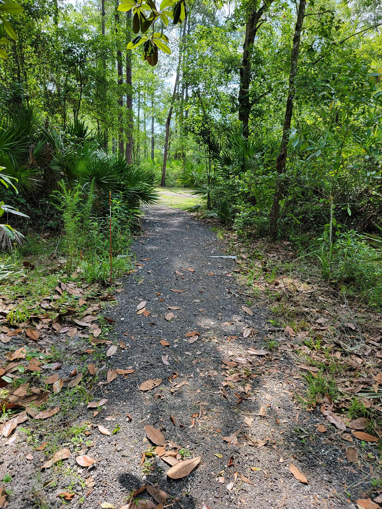Okefenokee Pastimes Cabins & Campground