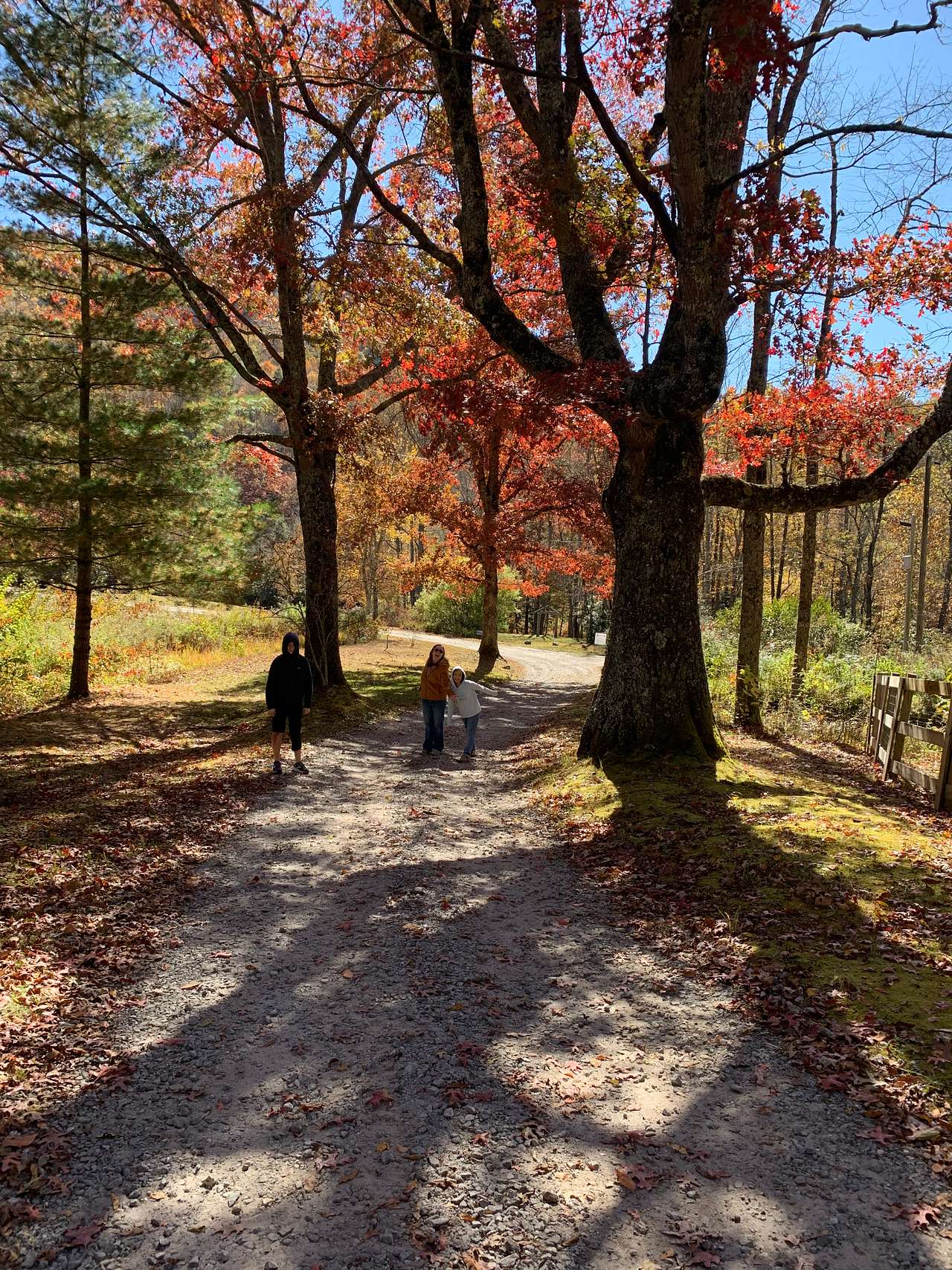 Winding Stair Campground