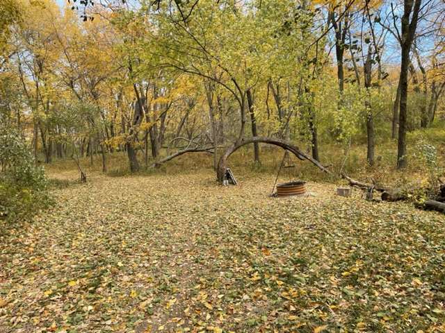 Site 4 in woods 