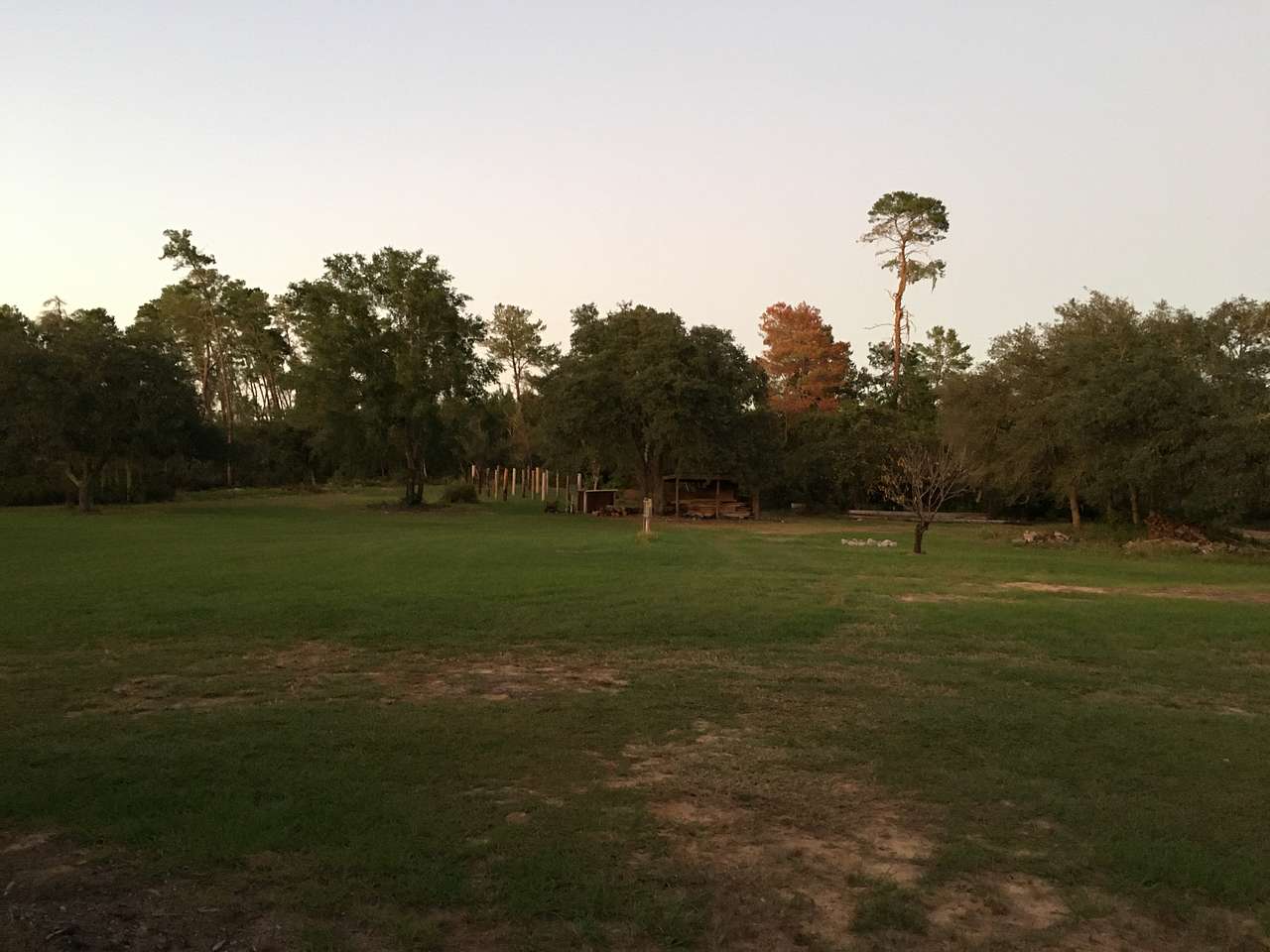 Golden Oaks Farm
