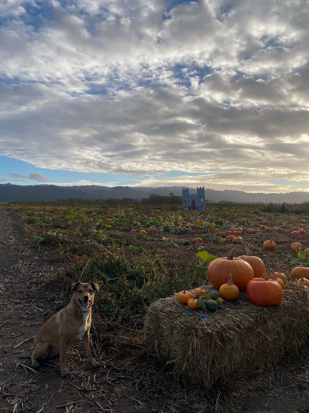 Farm Retreat at Hidden Meadow