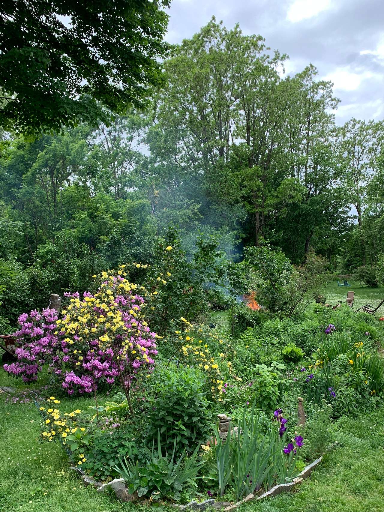 Shaded Gardens
