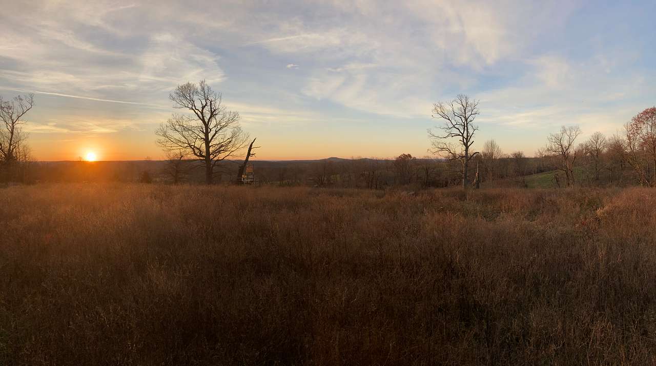 Site 2