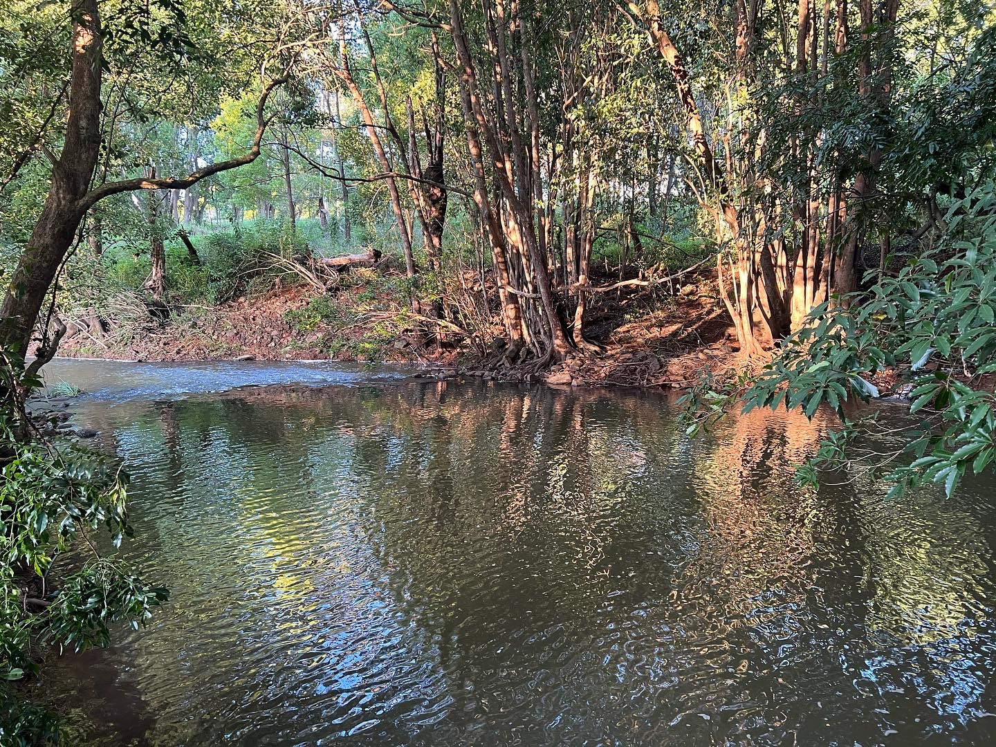 Fresh water creek