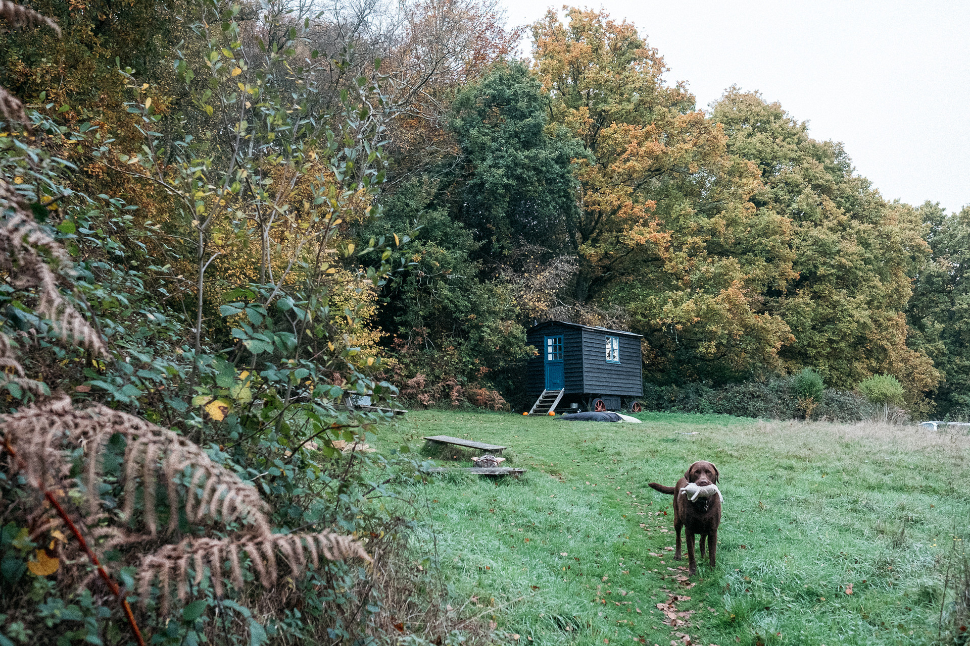 Beautiful hideaway, panoramic views