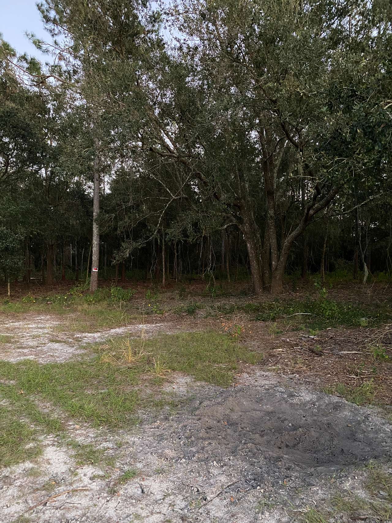 20 Acres Pond at Green Swamp